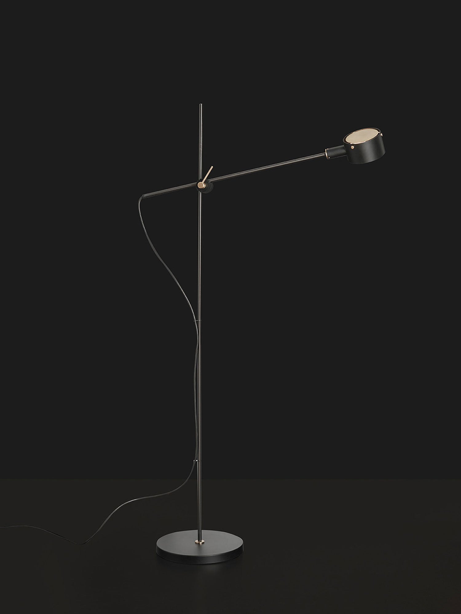 Arclen Adjustable Arm Floor Lamp