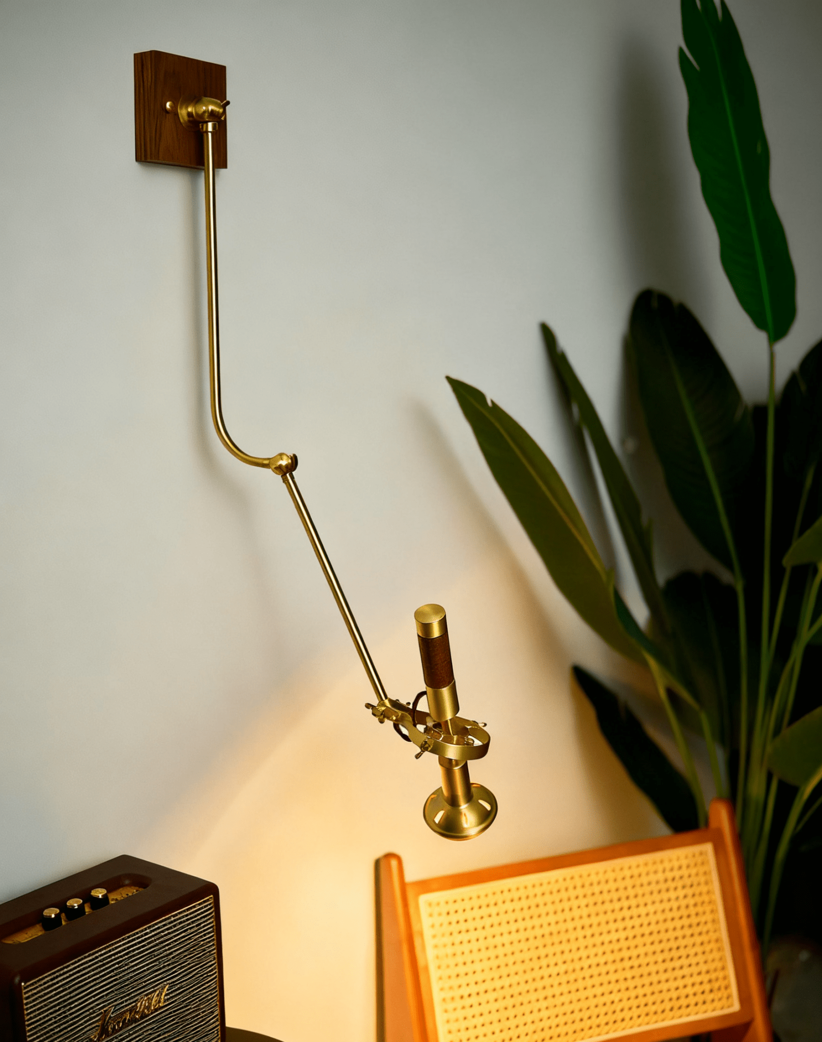 Caliise Wall Light