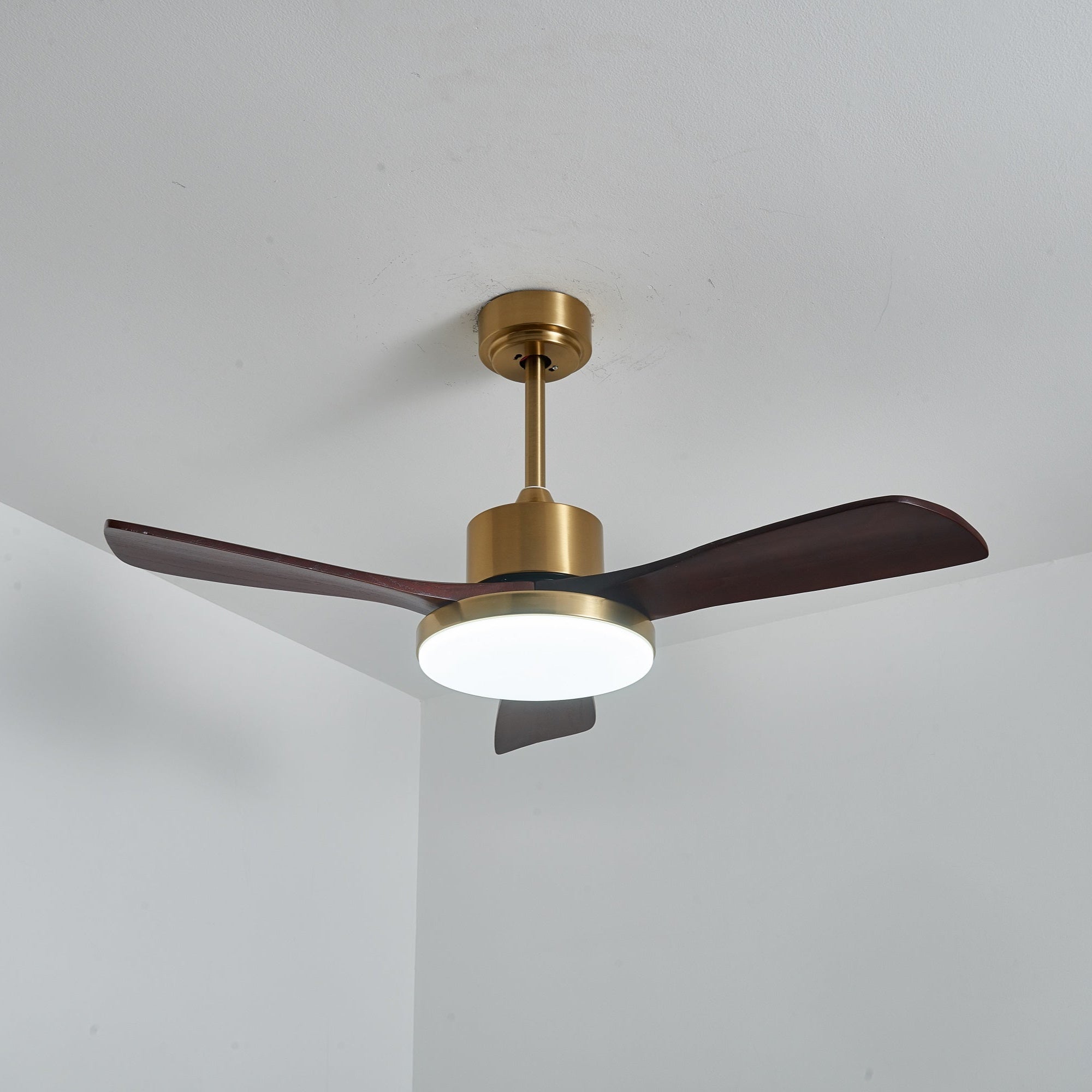Xen Modern Wood Ceiling Fan Light