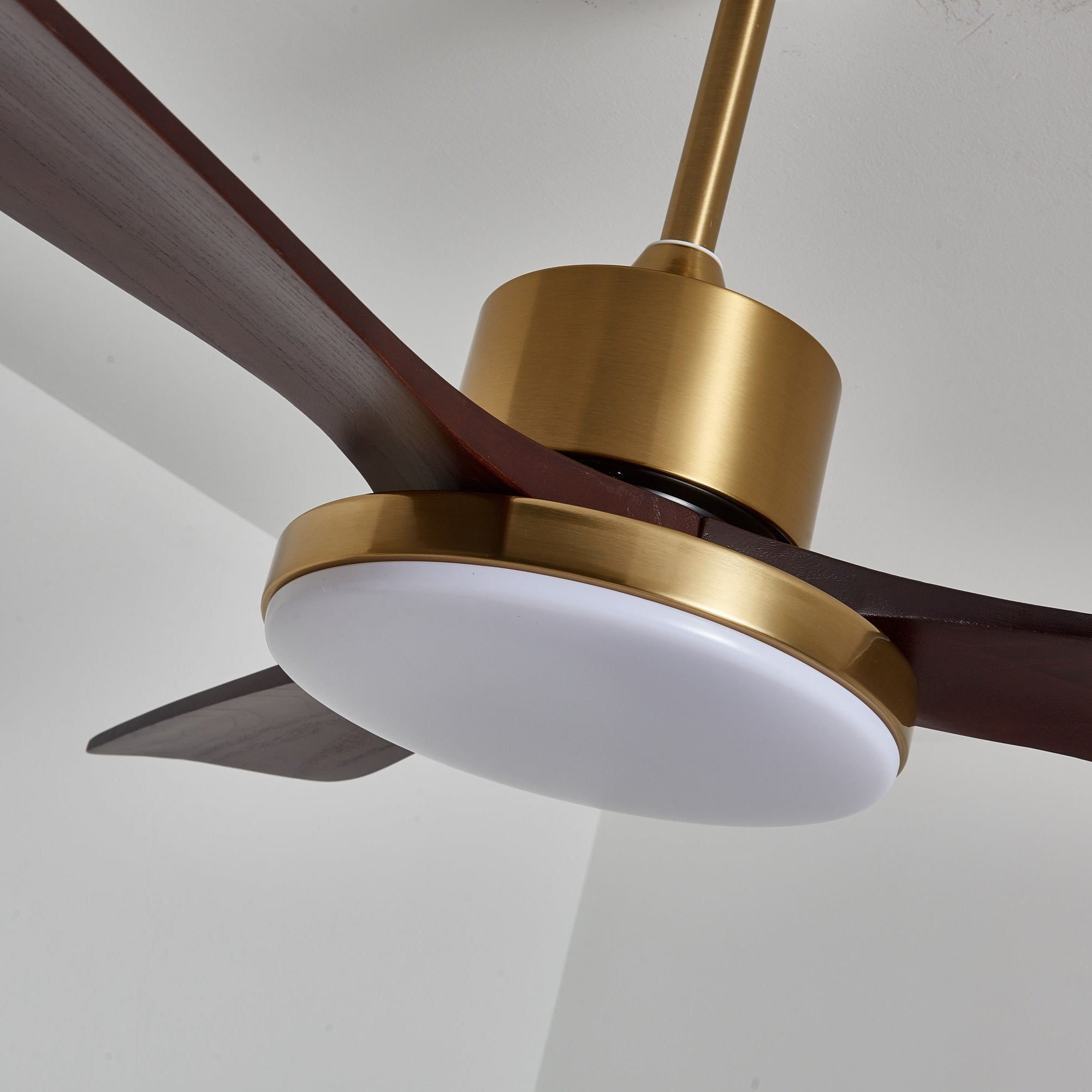 Xen Modern Wood Ceiling Fan Light