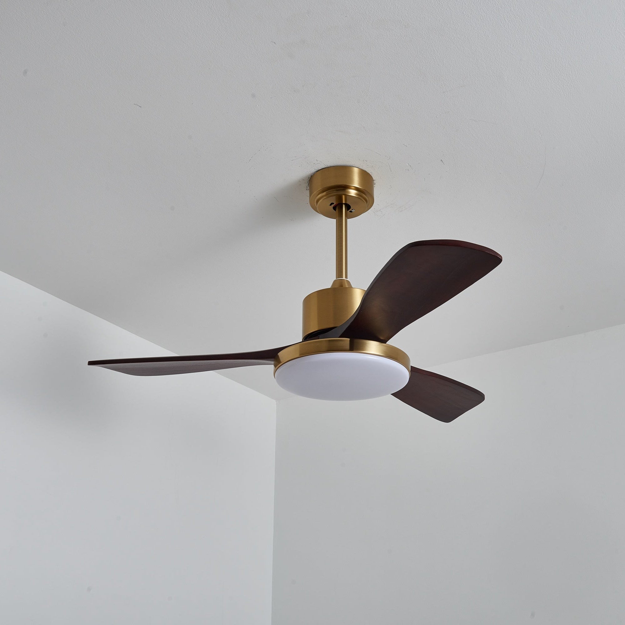 Xen Modern Wood Ceiling Fan Light