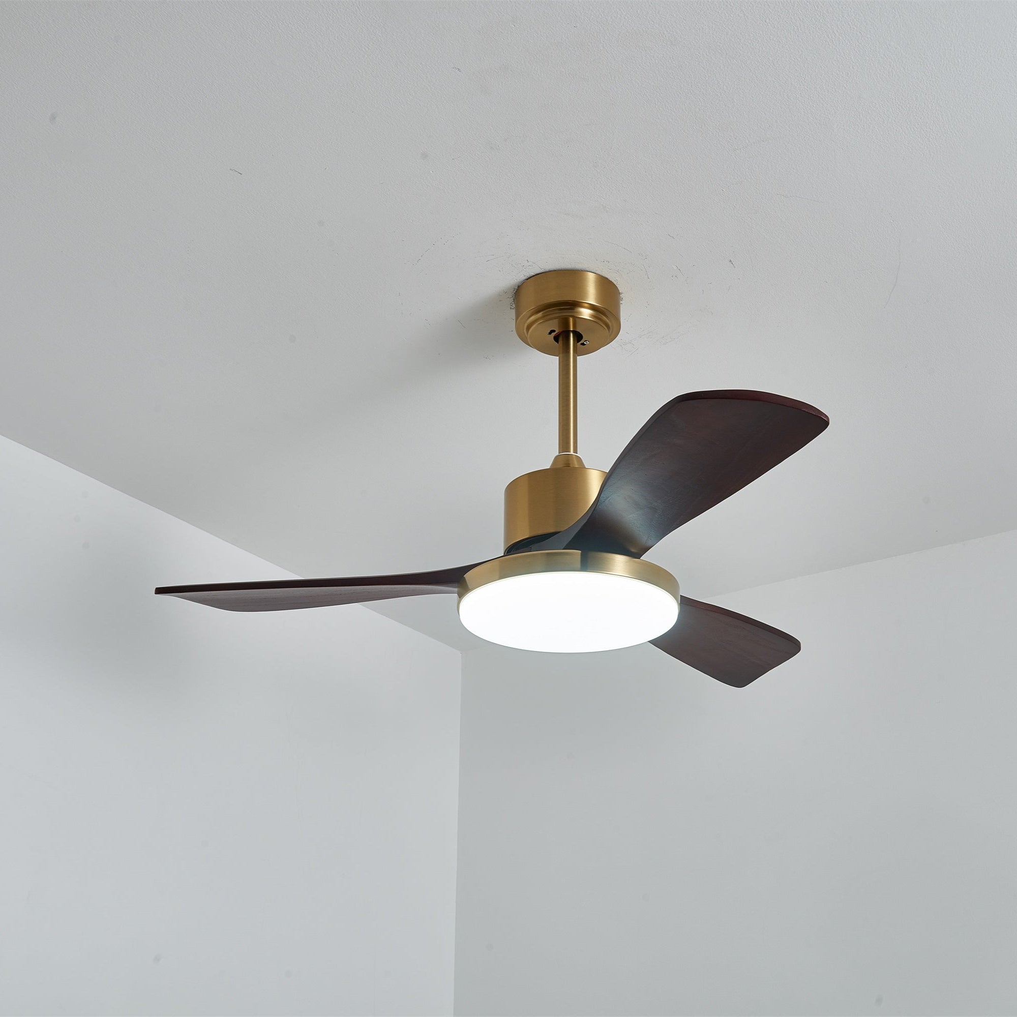Xen Modern Wood Ceiling Fan Light