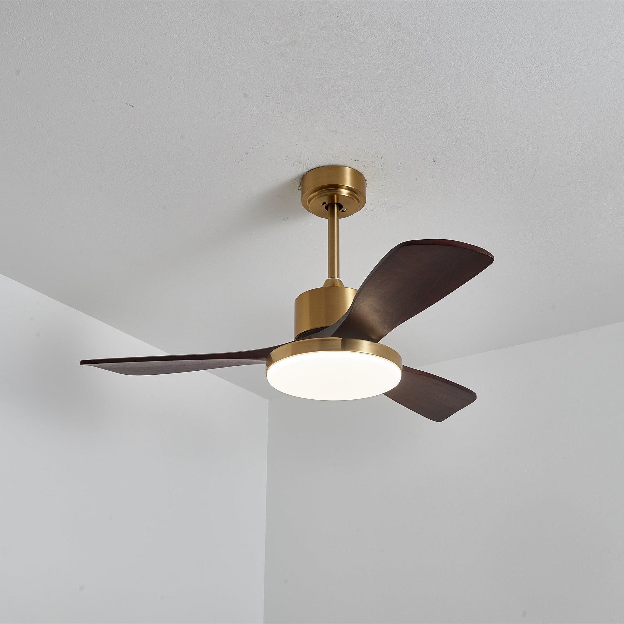 Xen Modern Wood Ceiling Fan Light
