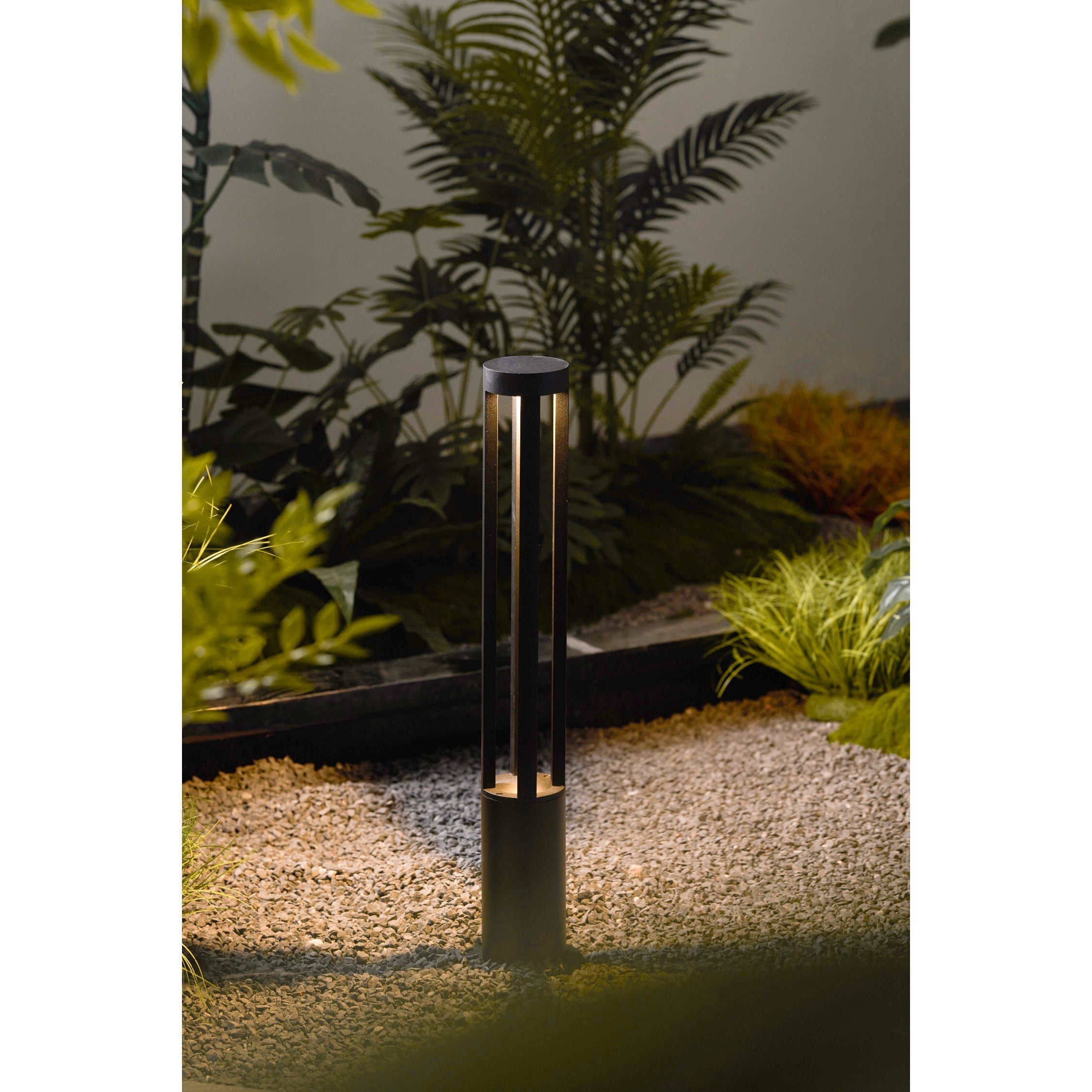 Noreiella Outdoor Light