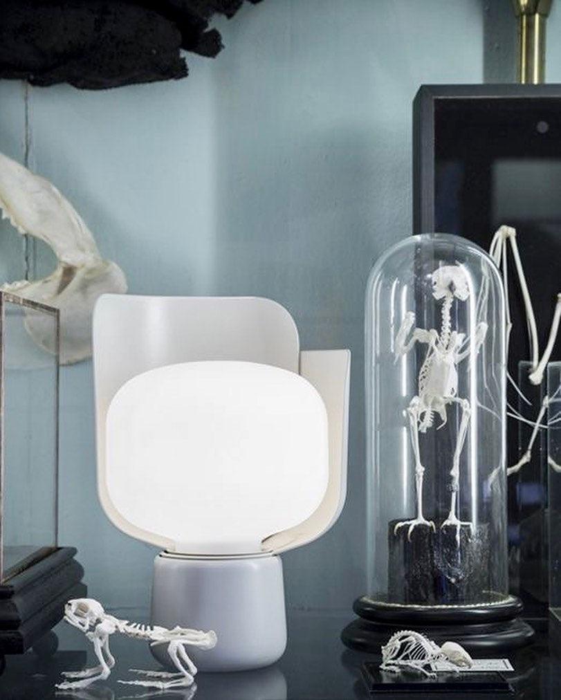 Zuri Plastic Minimalist Table Lamp