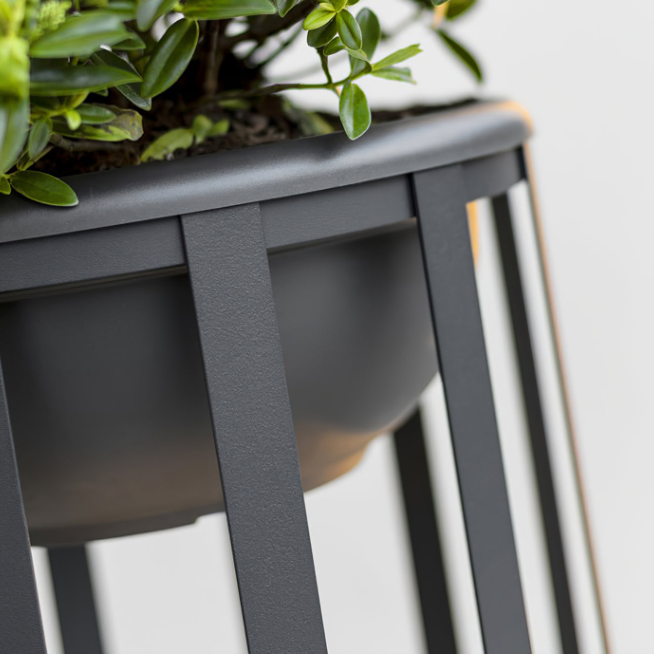 Matteo Outdoor Lamp