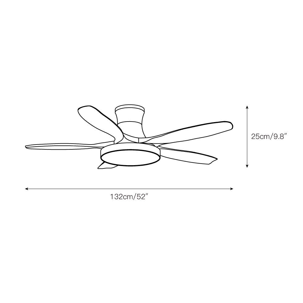 Teriinena Ceiling Fan Light
