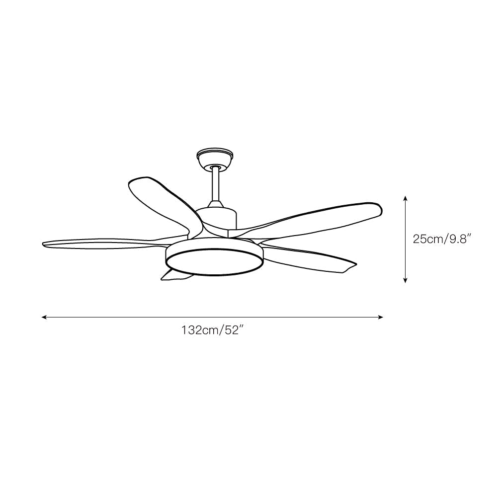 Teriinena Ceiling Fan Light