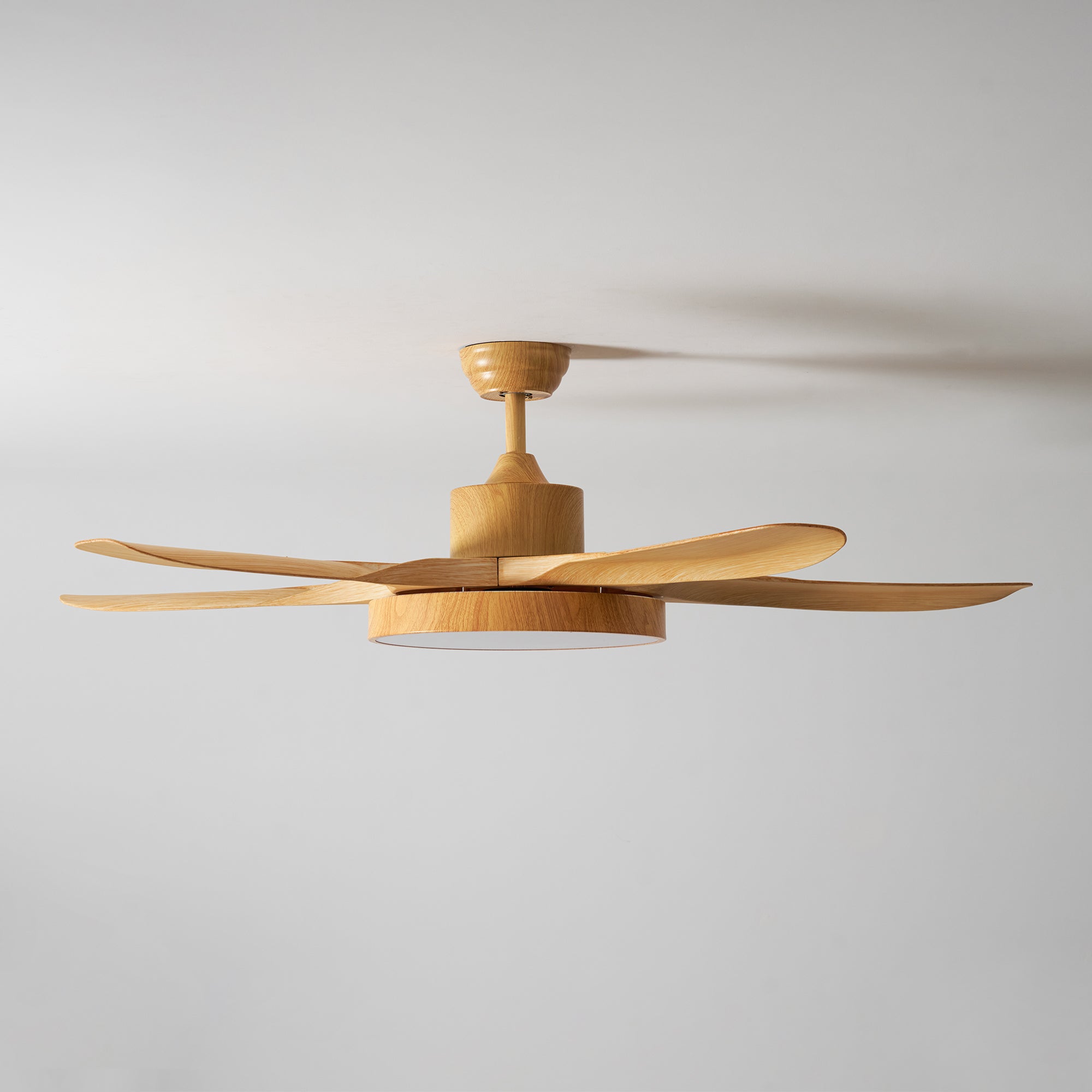 Teriinena Ceiling Fan Light