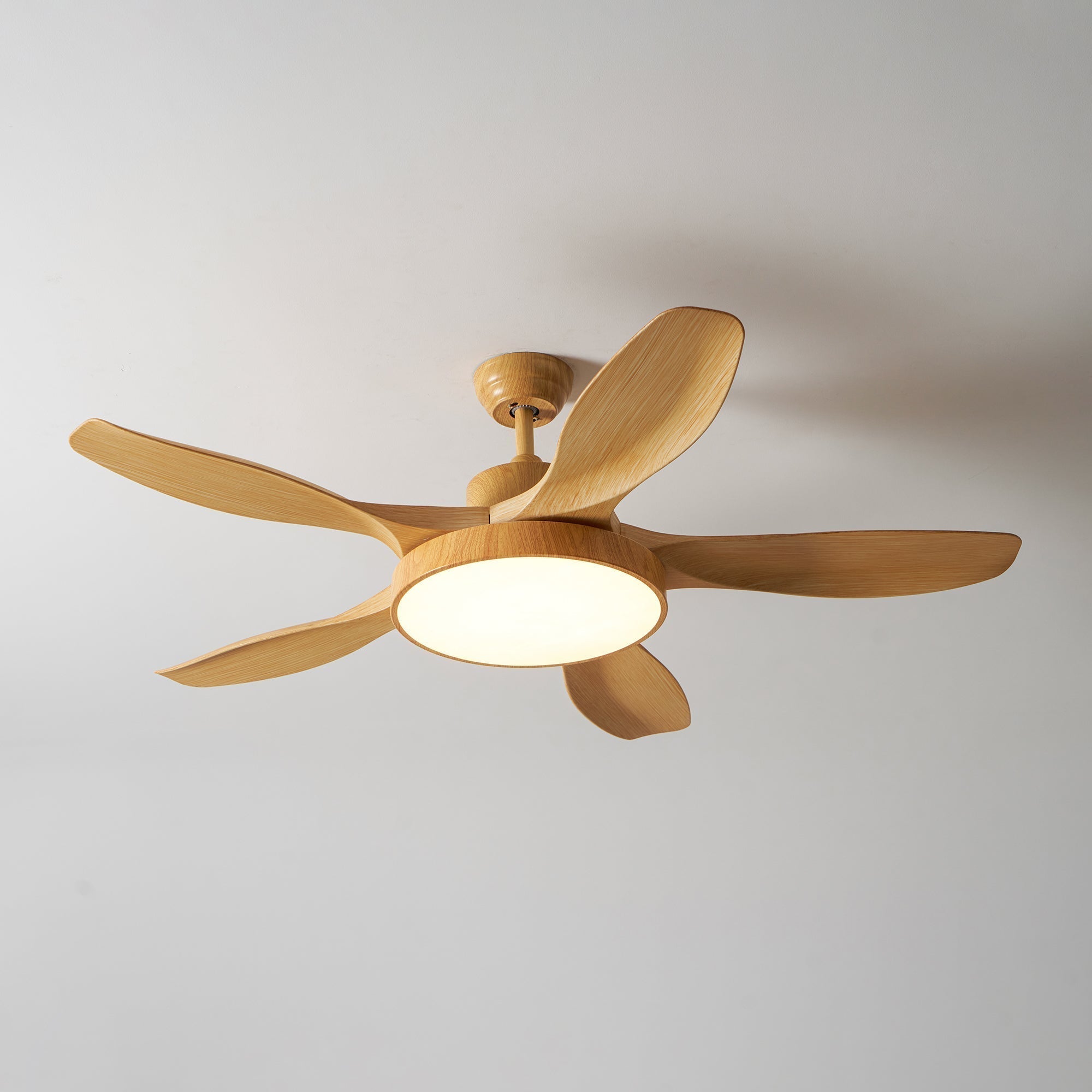 Teriinena Ceiling Fan Light