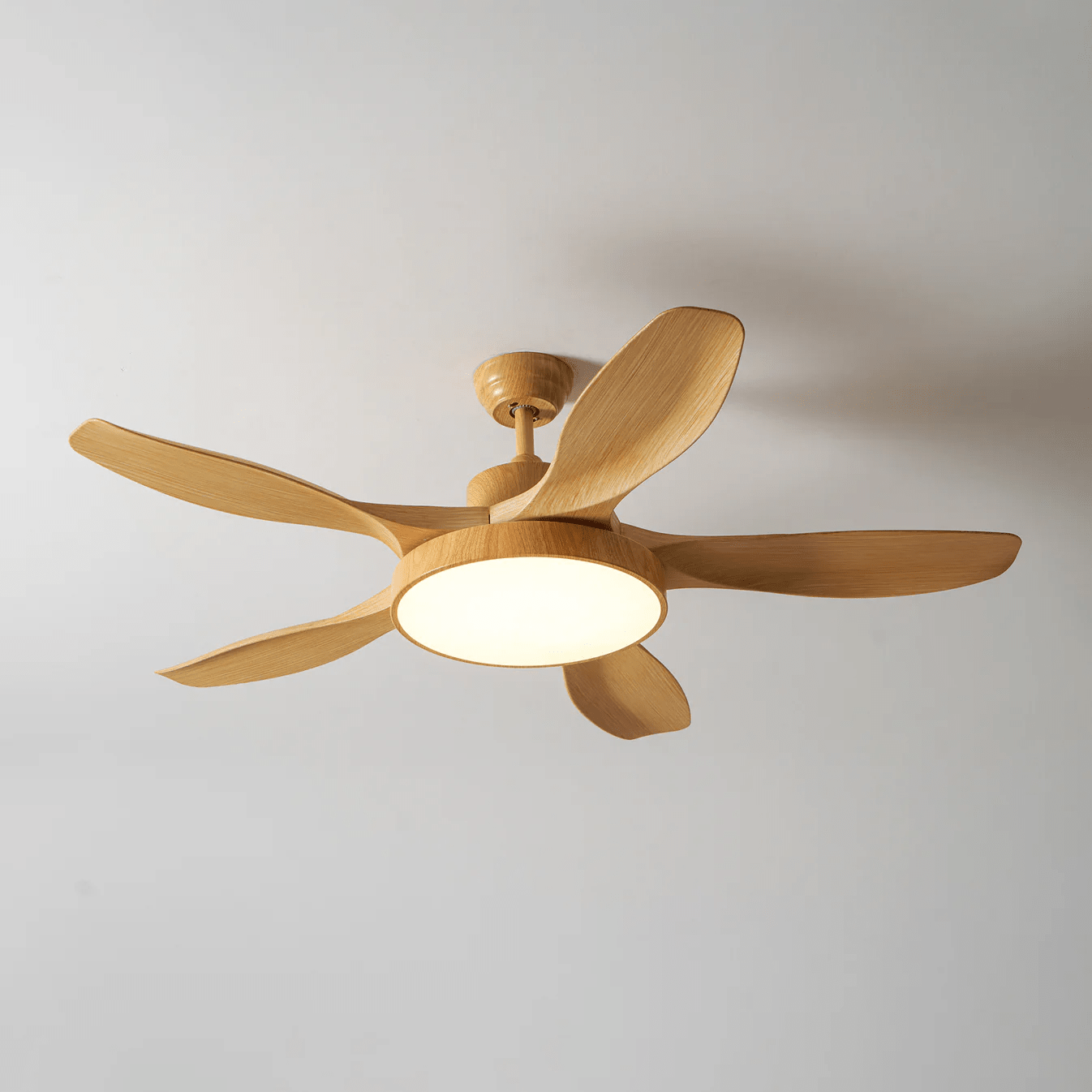 Renalella StillWind Ceiling Fan Light