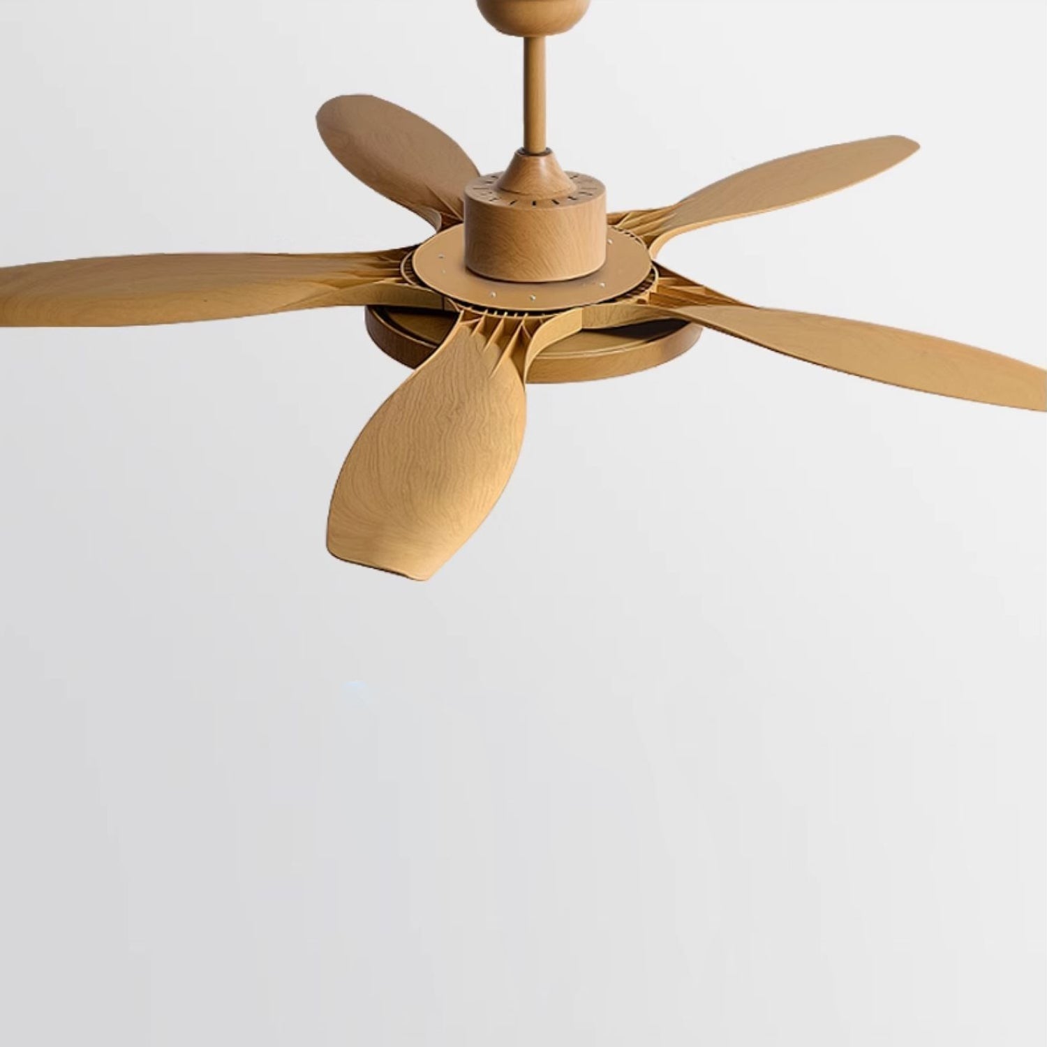 Teriinena Ceiling Fan Light