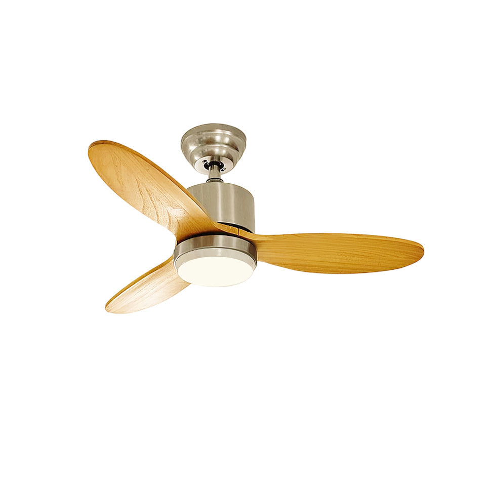 Rivaraine Ceiling Fan Light