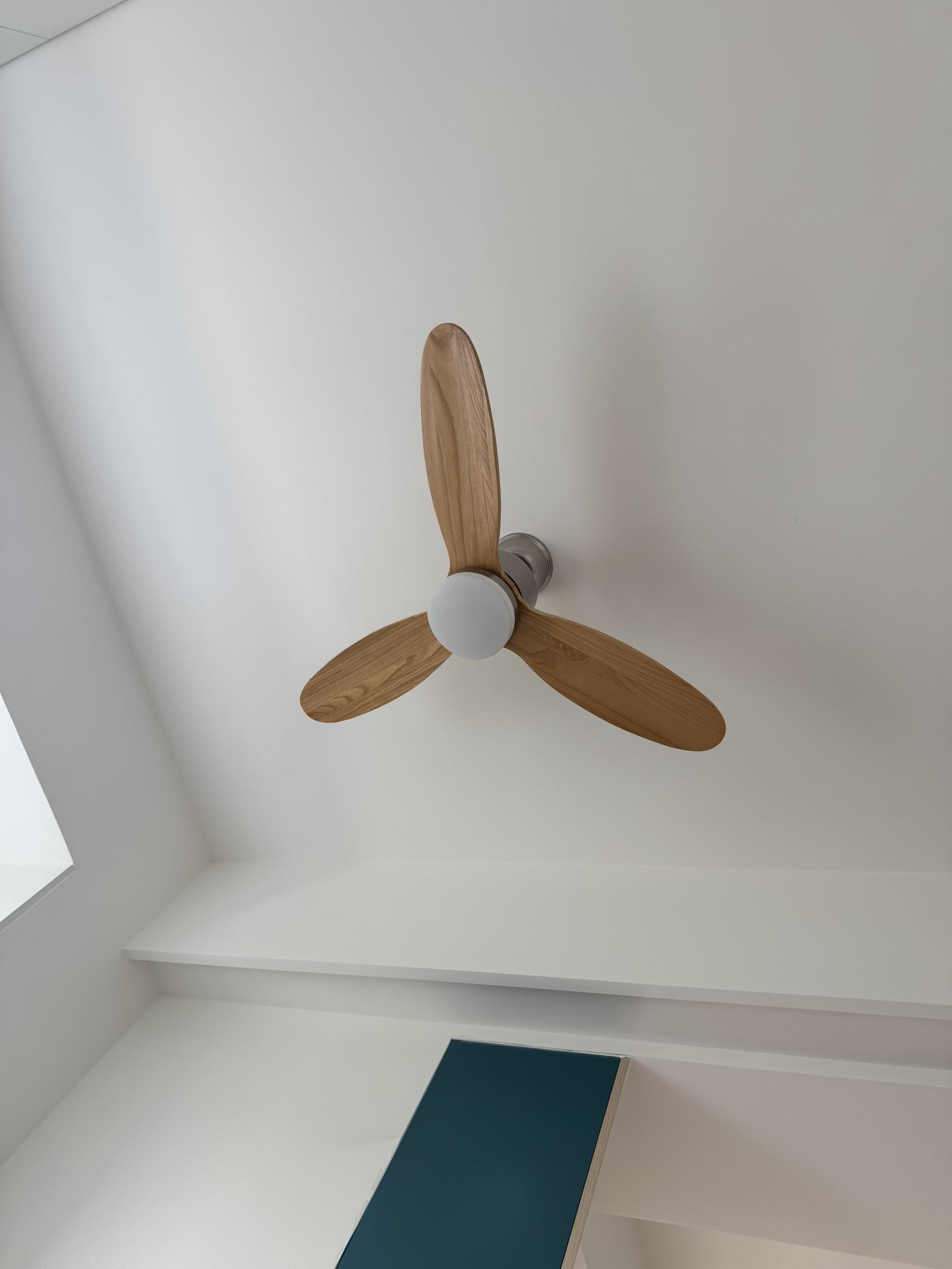 Rivaraine Ceiling Fan Light