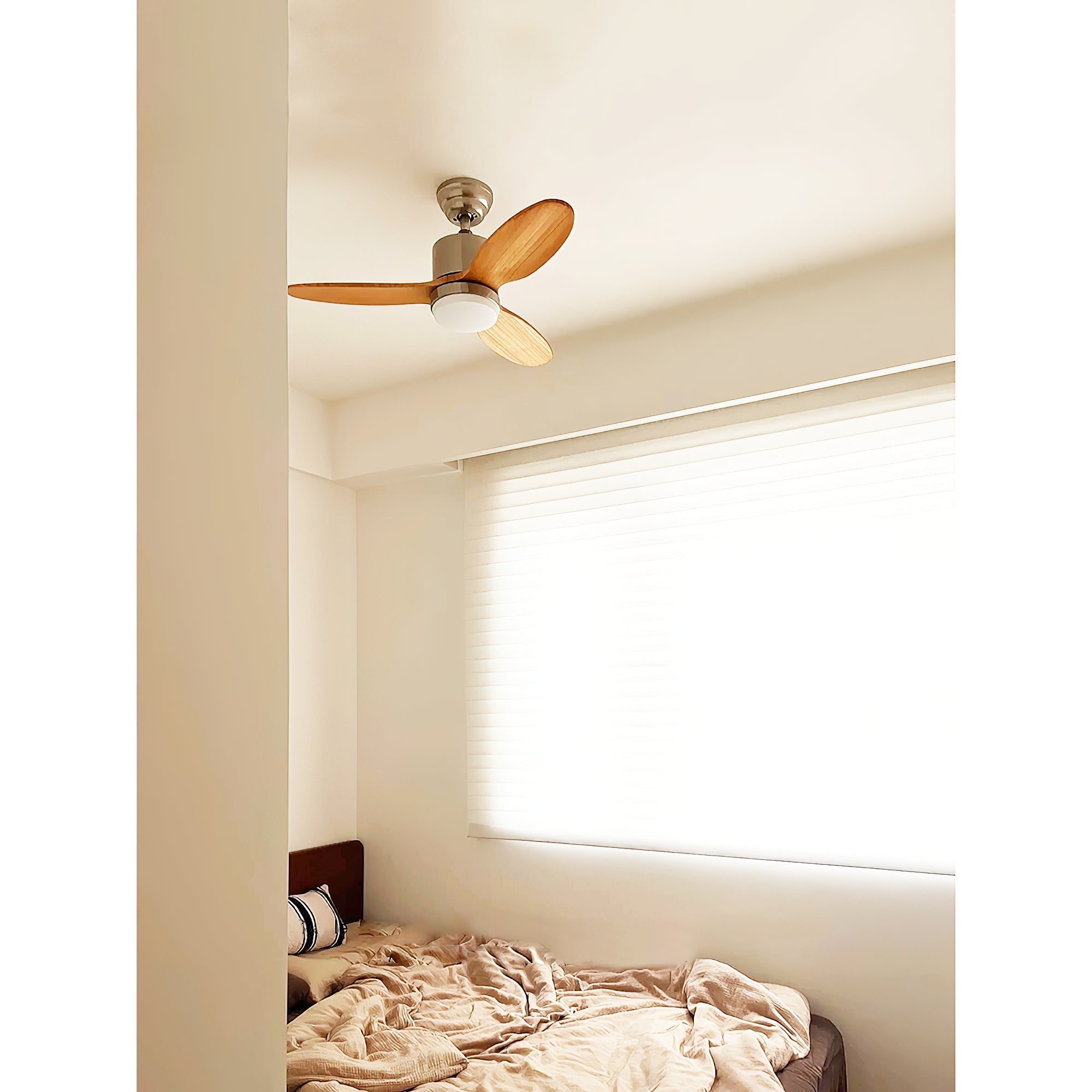 Rivaraine Ceiling Fan Light