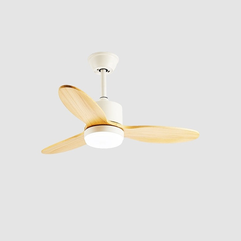 Rivaraine Ceiling Fan Light