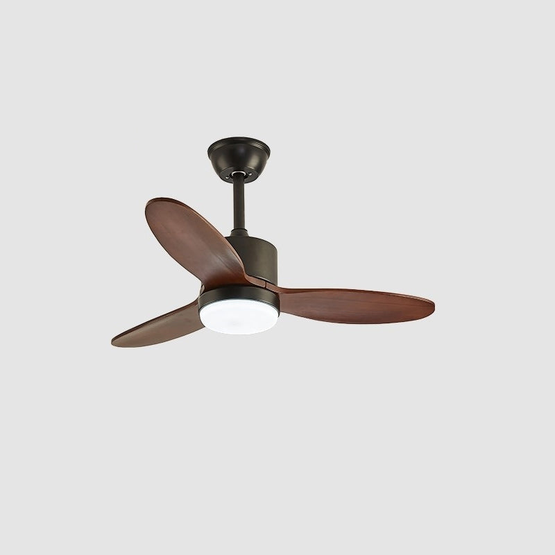 Rivaraine Ceiling Fan Light