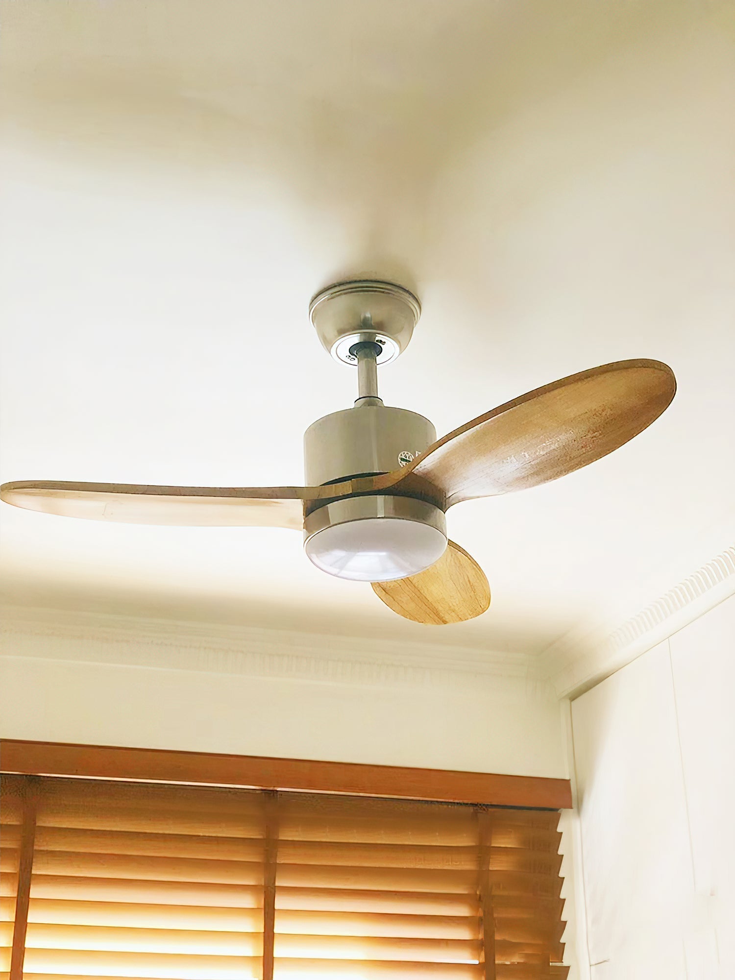 Rivaraine Ceiling Fan Light