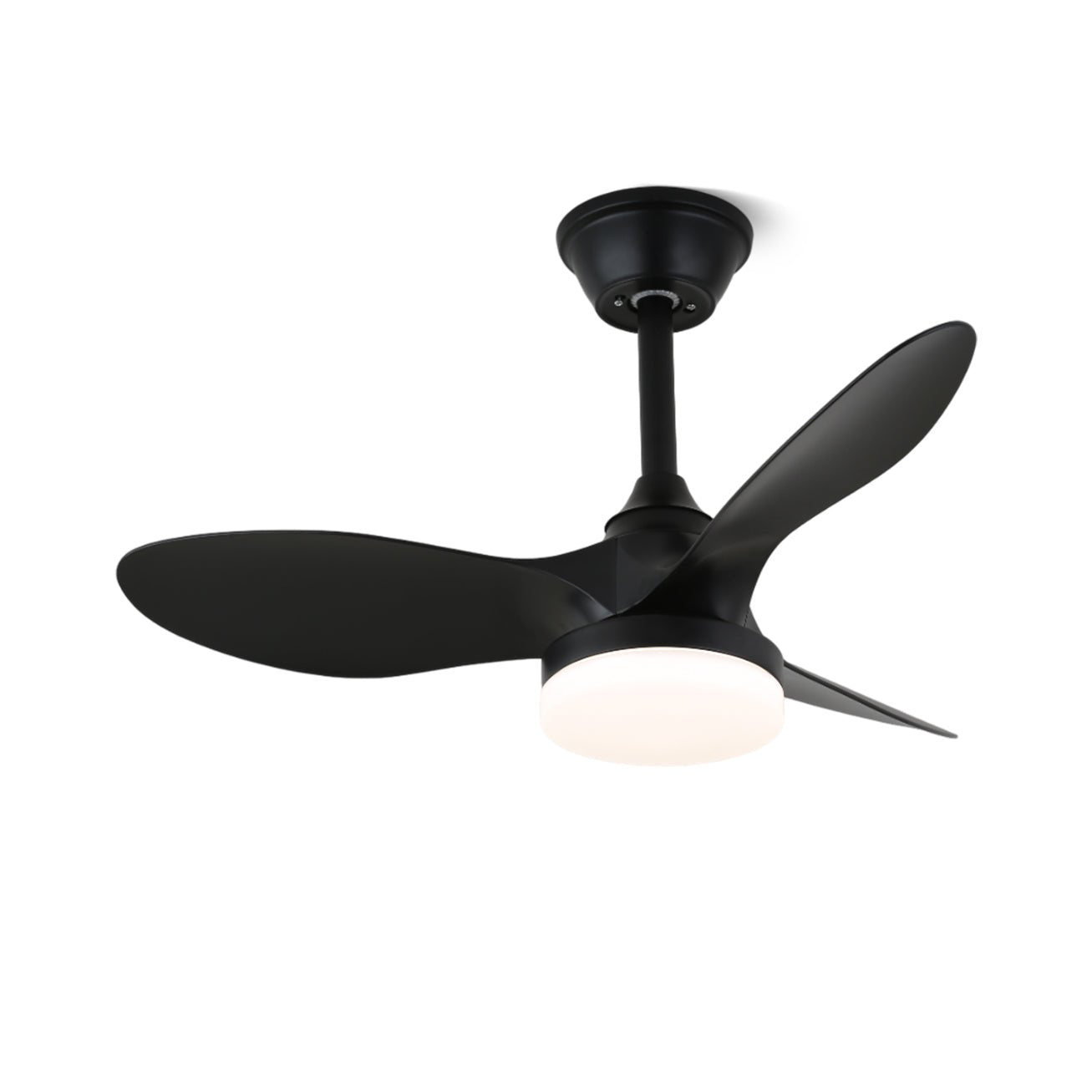 Aelric Modern Ceiling Fan Light