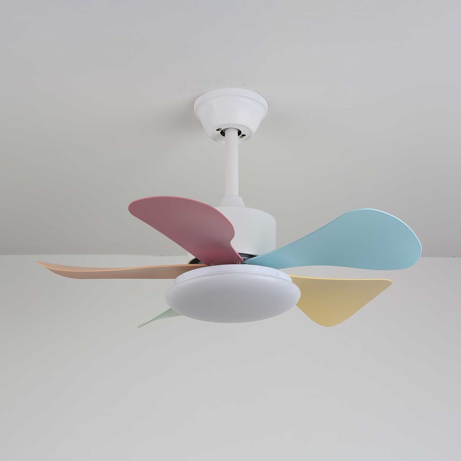 Celoia Colorful Glass Ceiling Fan Light