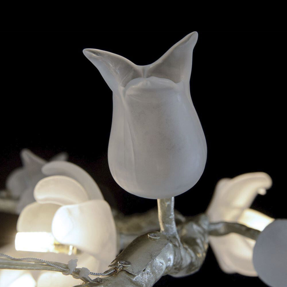 Fiorella Chandelier