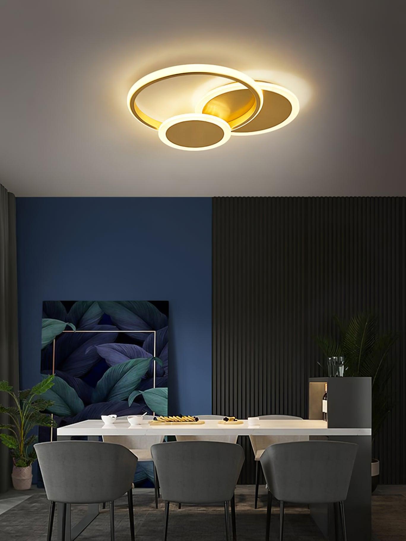 Insk Art Circles LED Ceiling Light
