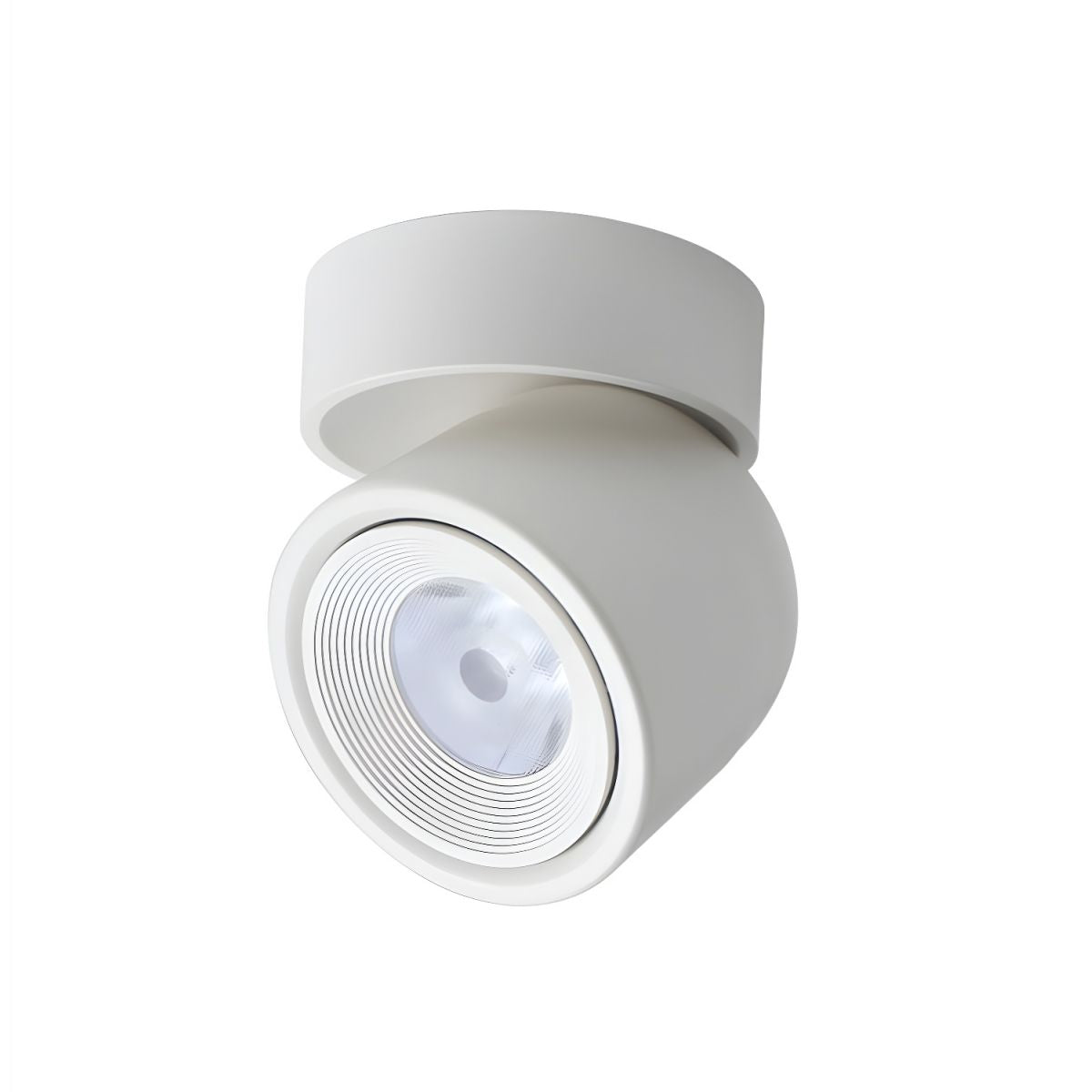 Clara Modern Minimalist Rotating Surface Downlight Ceiling lamp