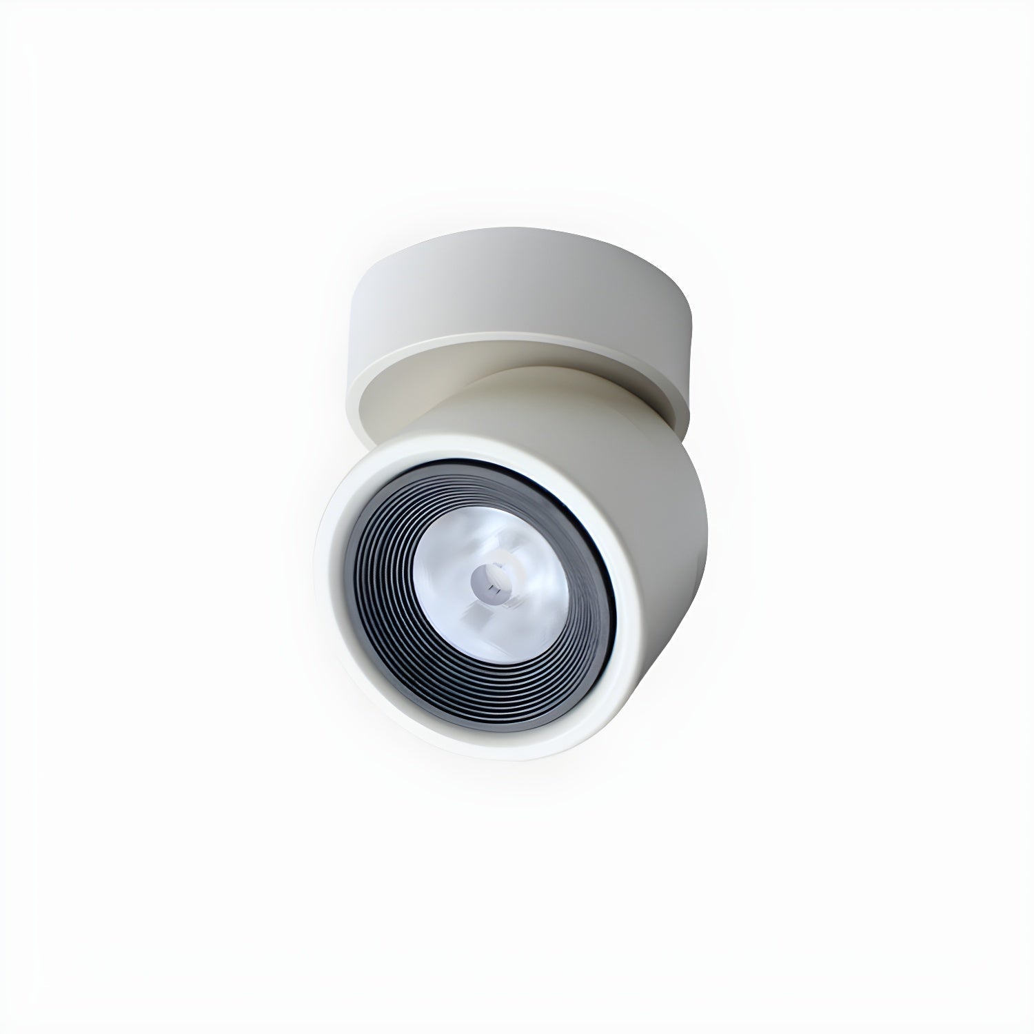 Clara Modern Minimalist Rotating Surface Downlight Ceiling lamp
