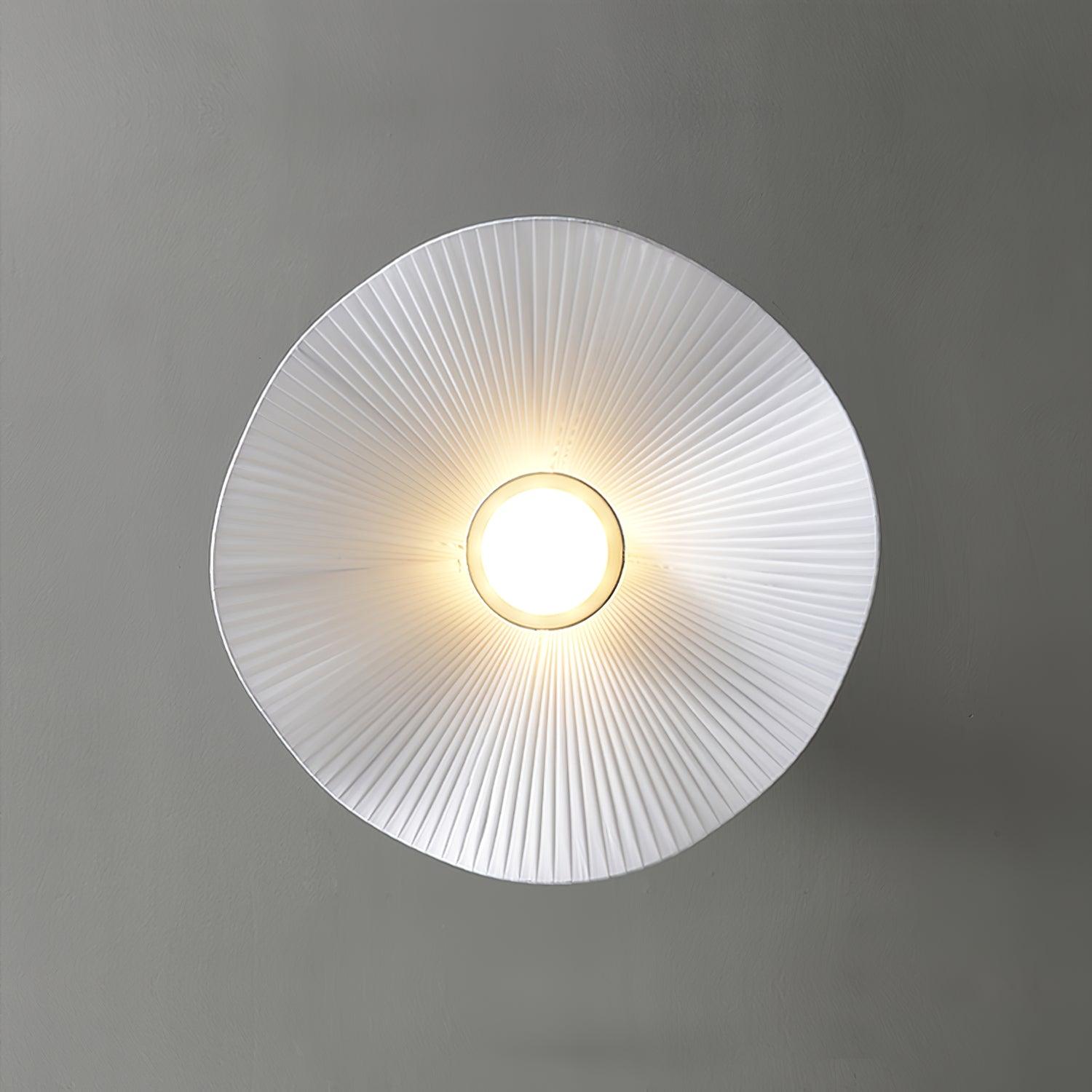 Soreraine Ceiling Light for Cozy Living Room or Bedroom