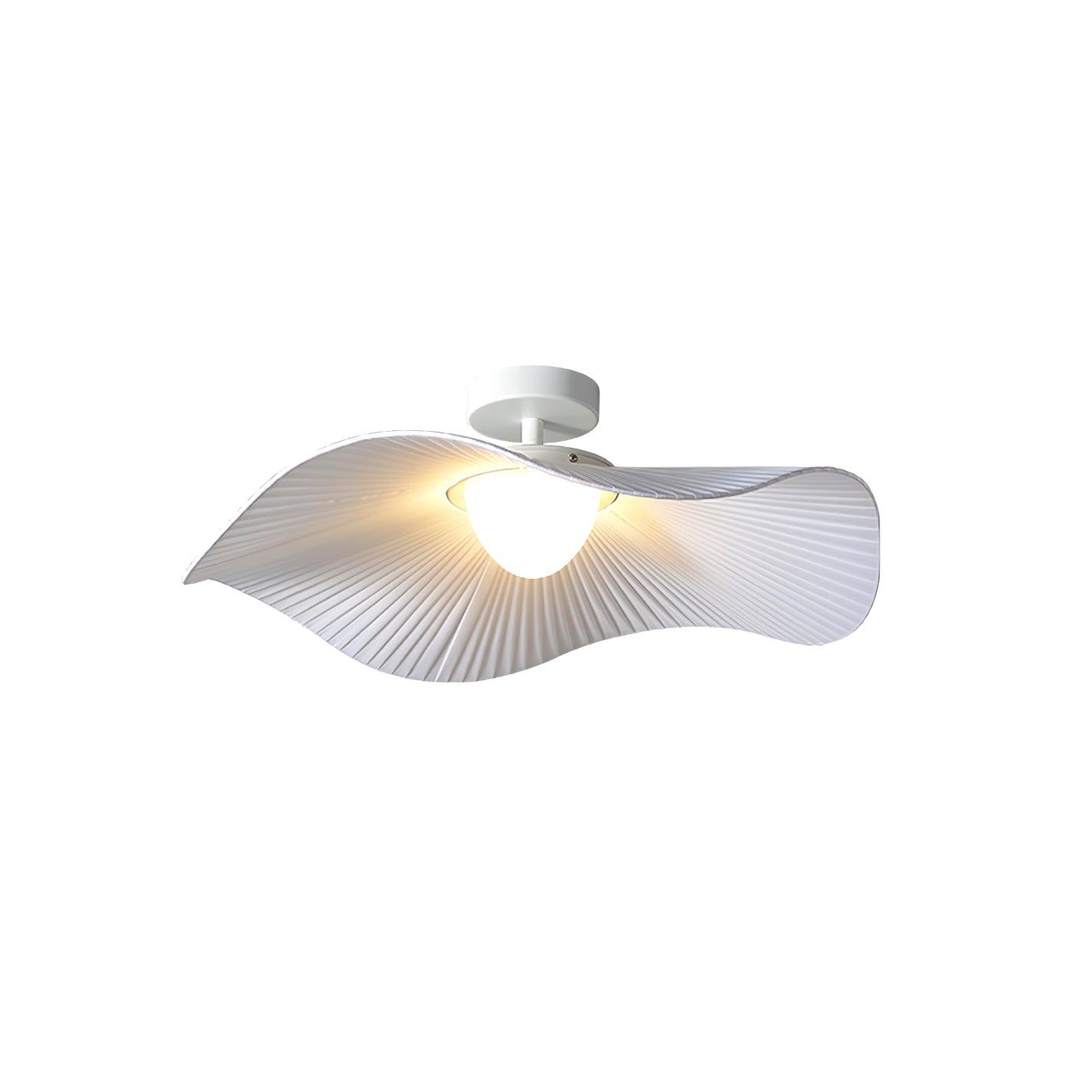 Soreraine Ceiling Light for Cozy Living Room or Bedroom