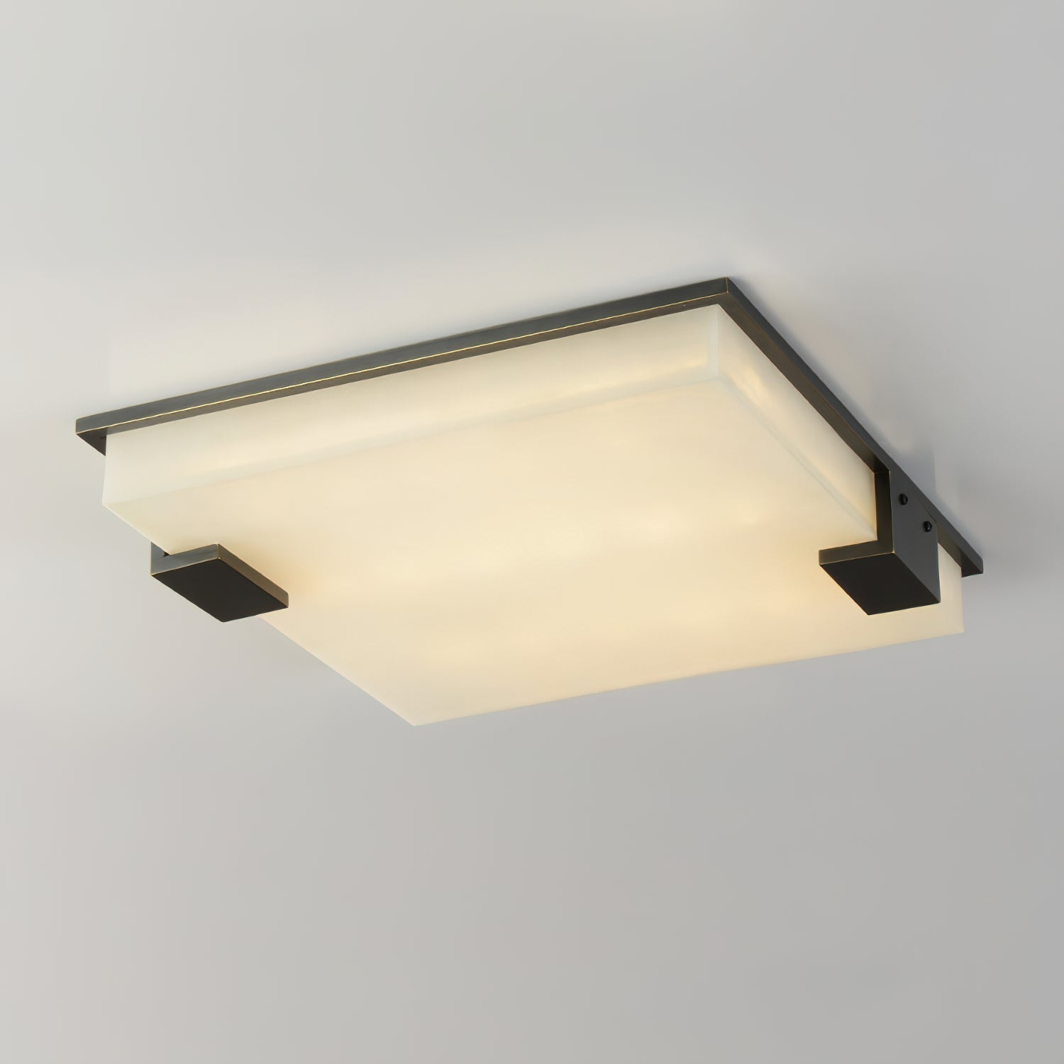 Aveninina Ceiling Light