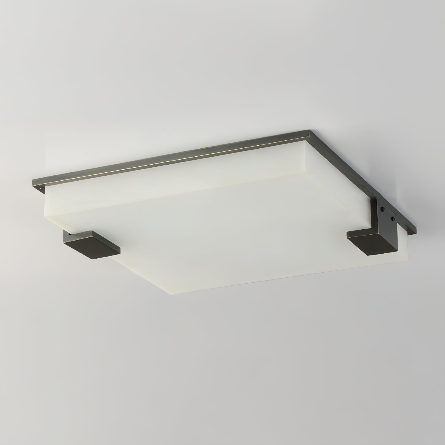 Aveninina Ceiling Light