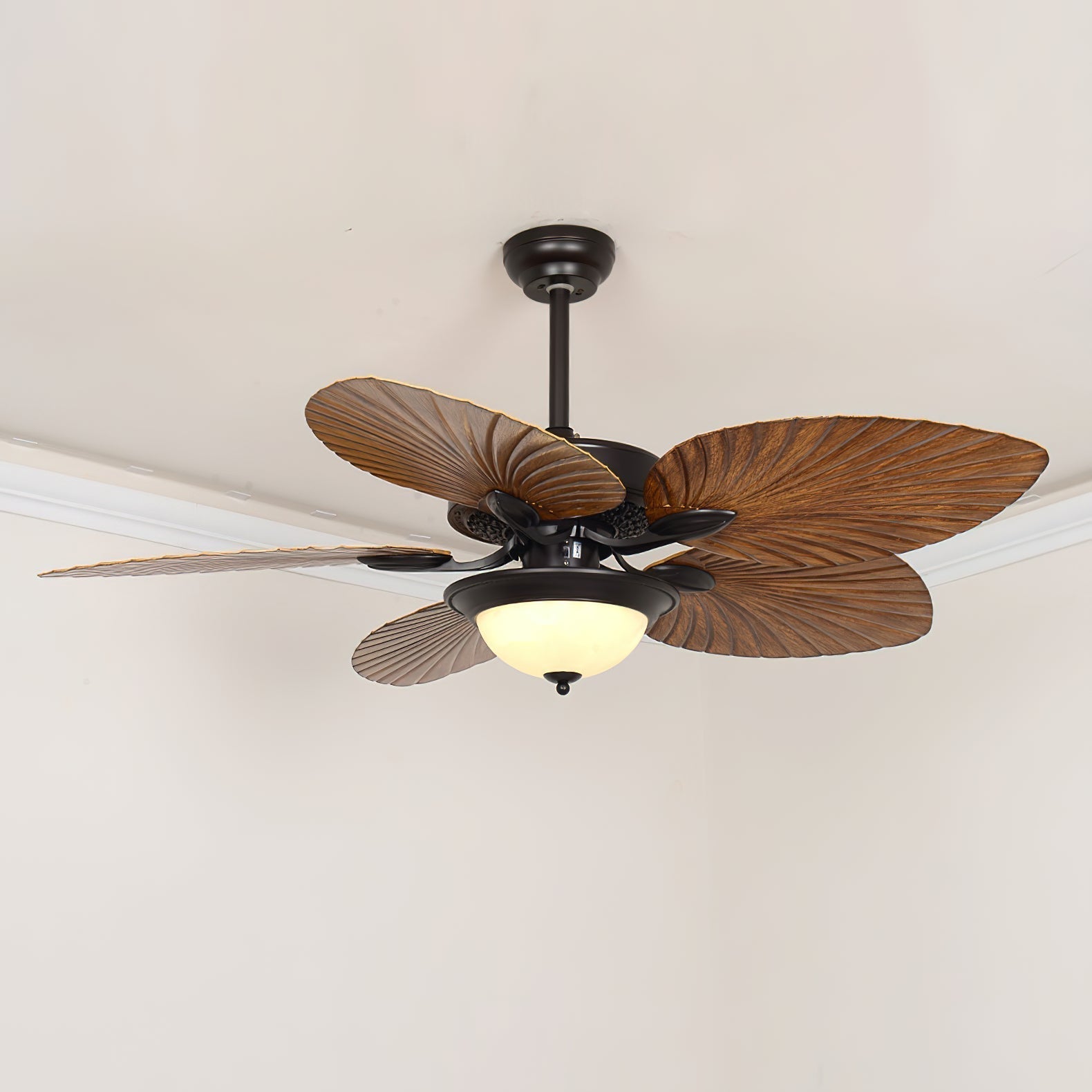 Viraalel Ceiling Fan Light