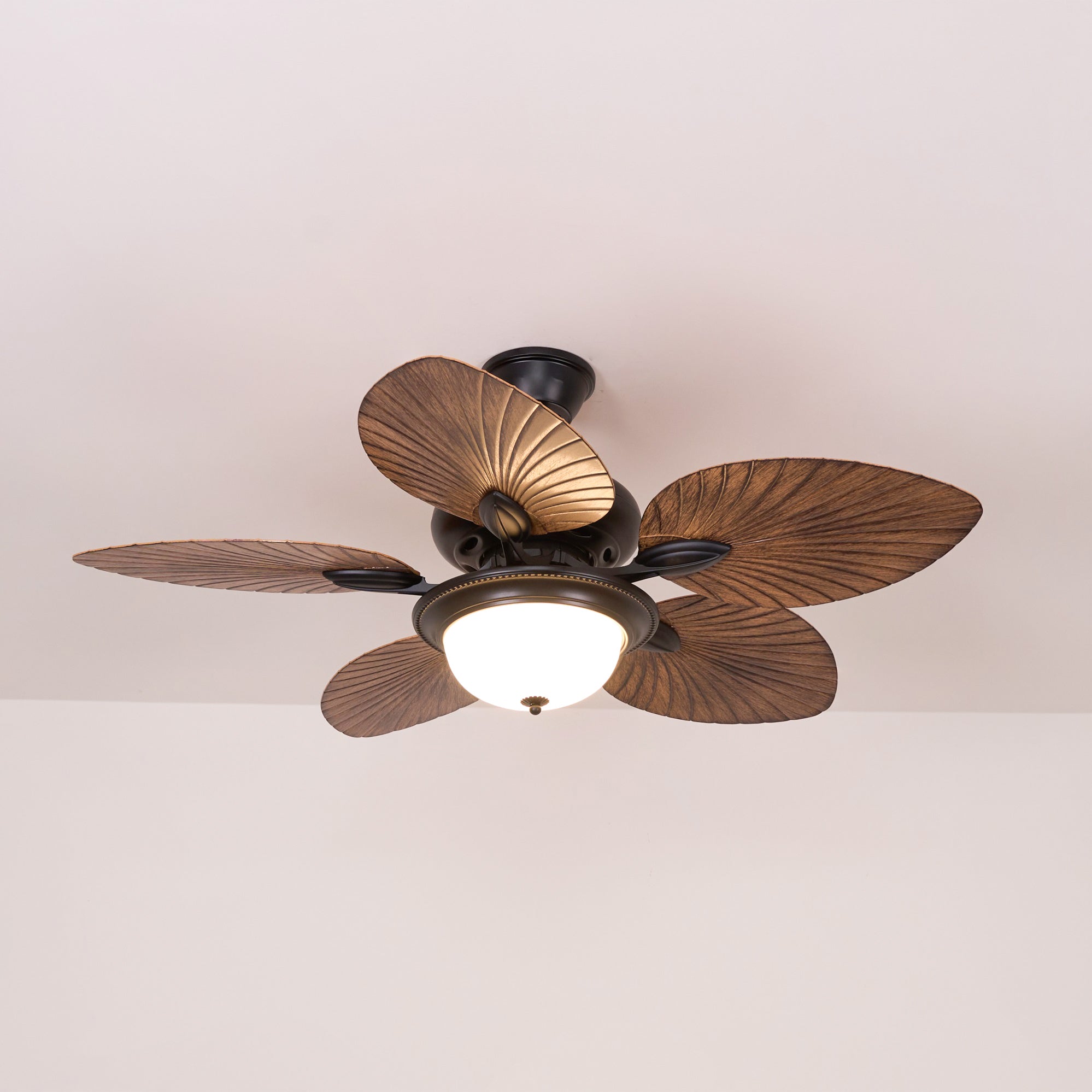 Viraalel Ceiling Fan Light