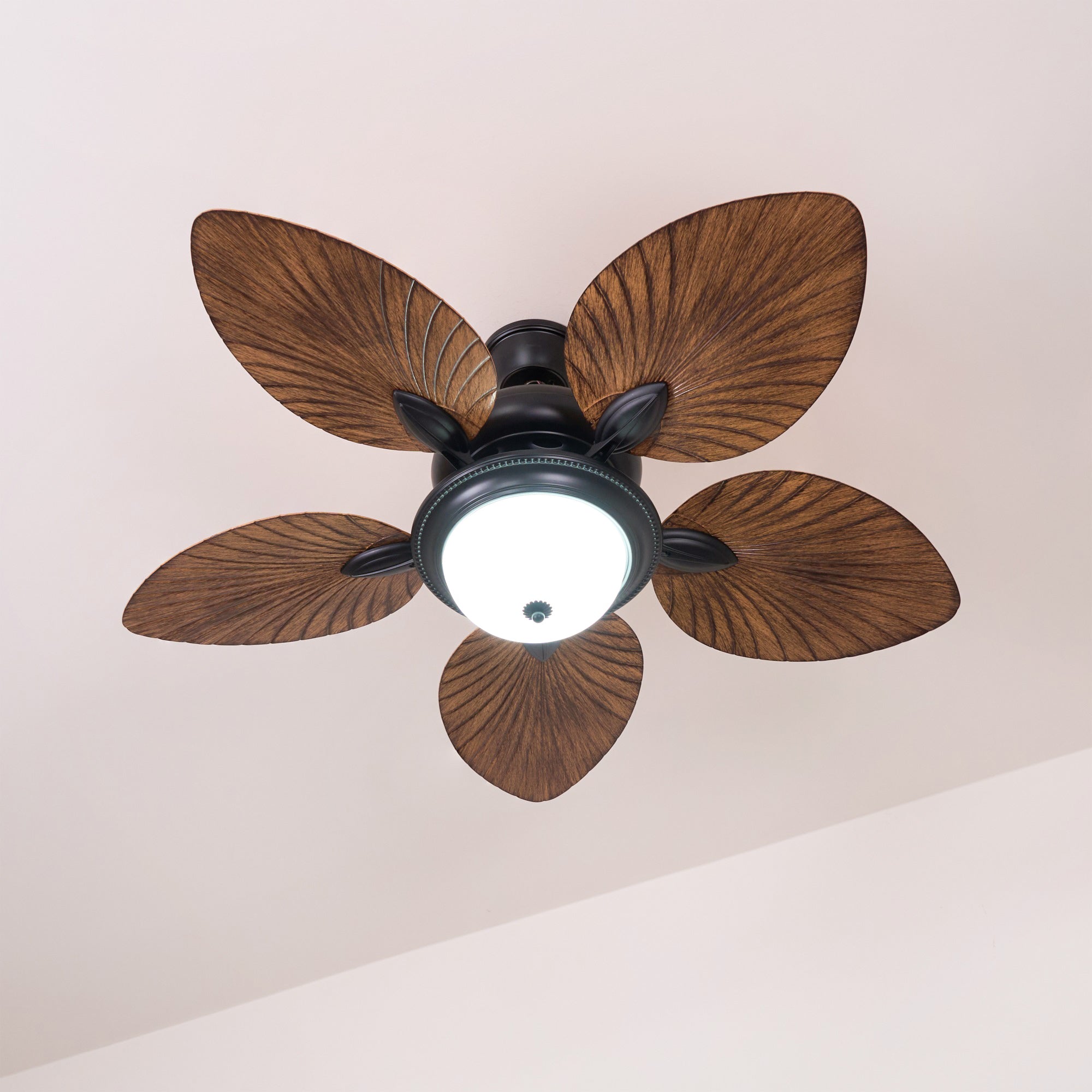 Viraalel Ceiling Fan Light