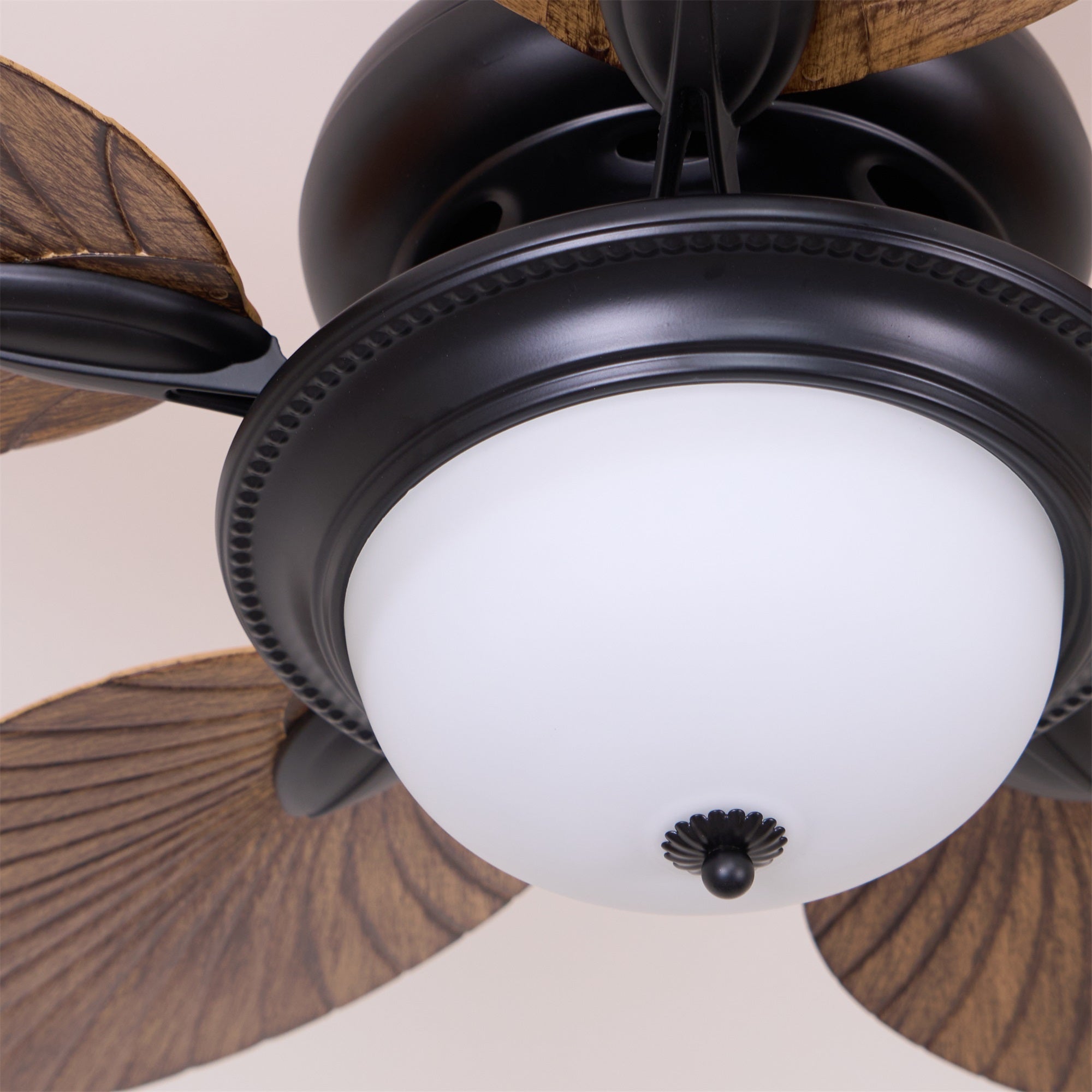 Viraalel Ceiling Fan Light