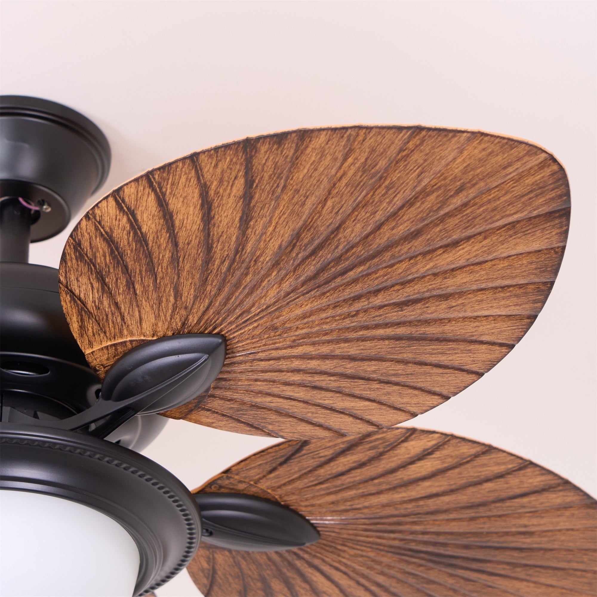 Viraalel Ceiling Fan Light