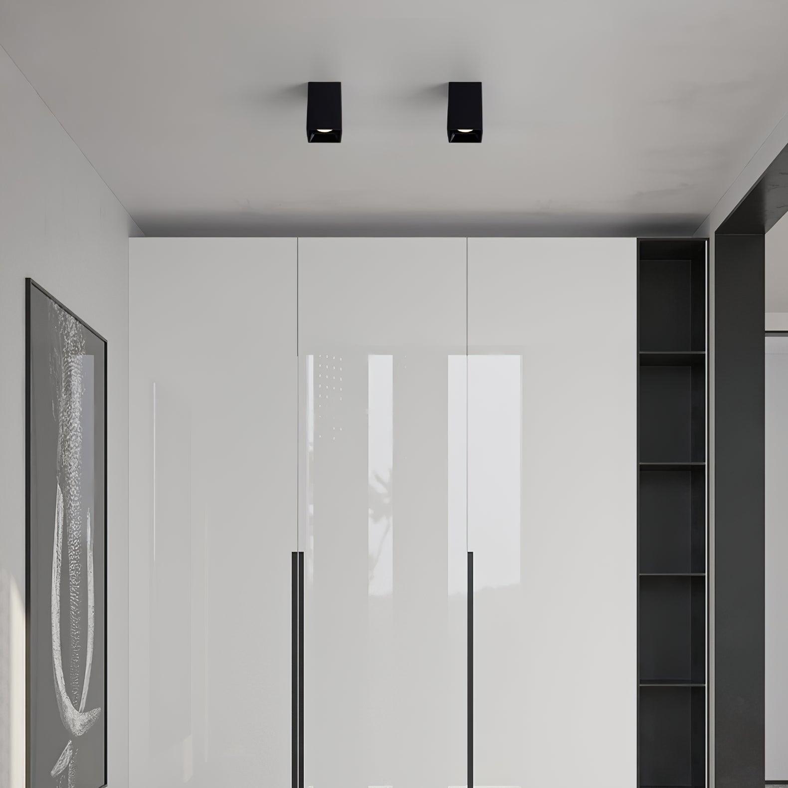 Orelaniella Ceiling Light Cube Square Black Spotlight