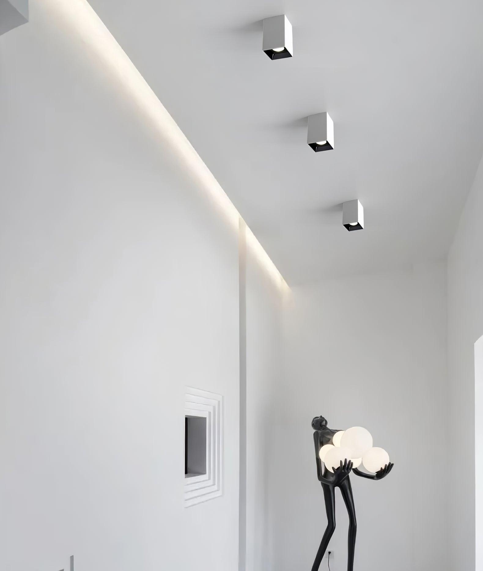 Orelaniella Ceiling Light Cube Square Black Spotlight
