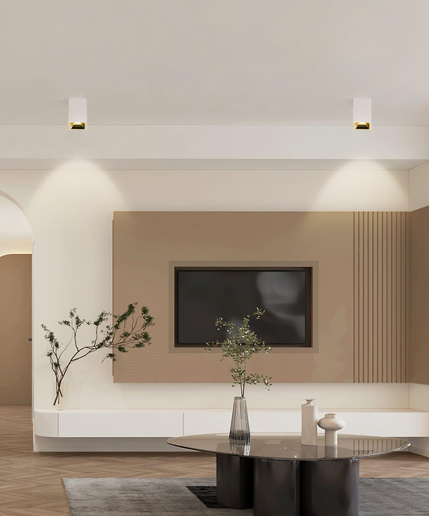 Orelaniella Ceiling Light Cube Square Black Spotlight