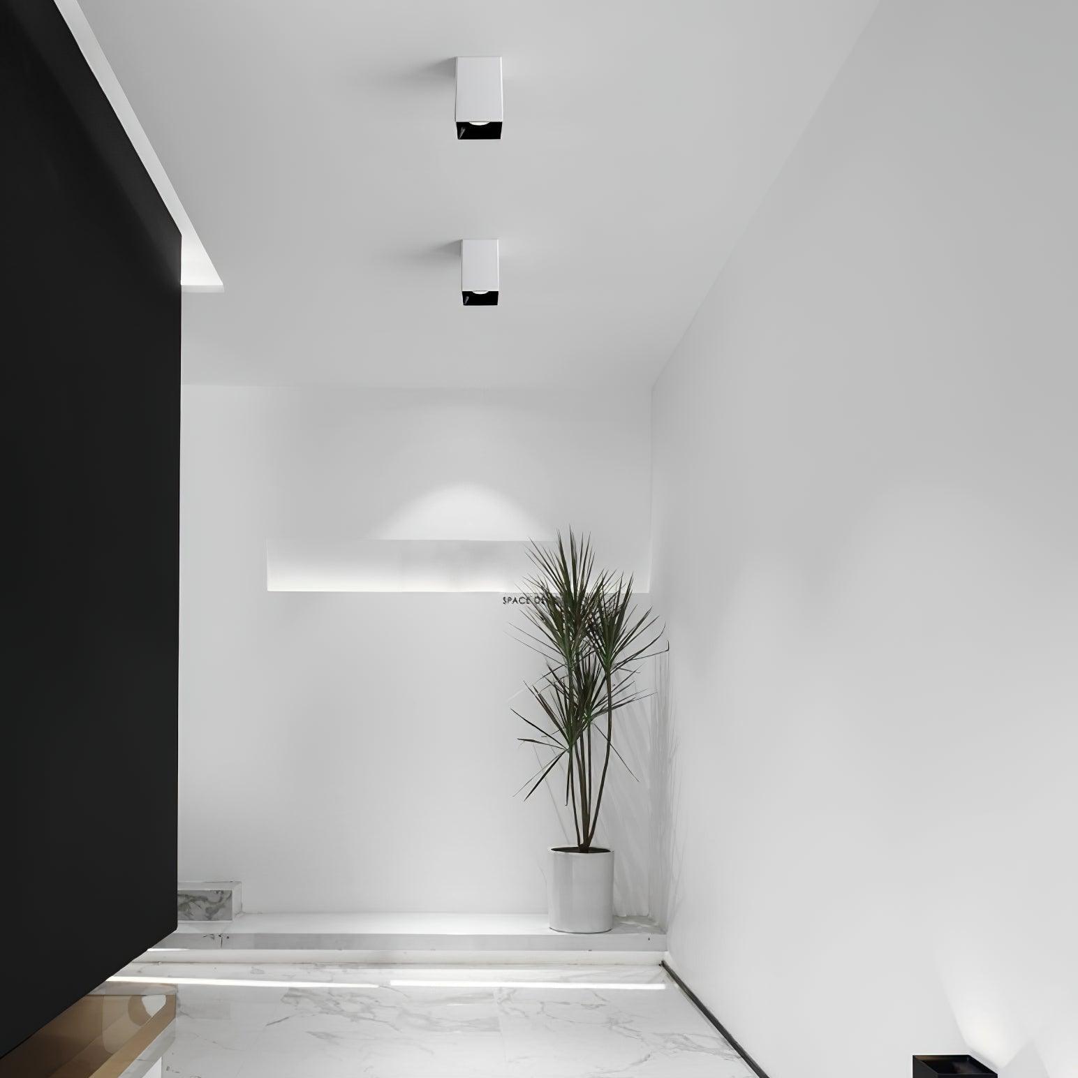 Orelaniella Ceiling Light Cube Square Black Spotlight