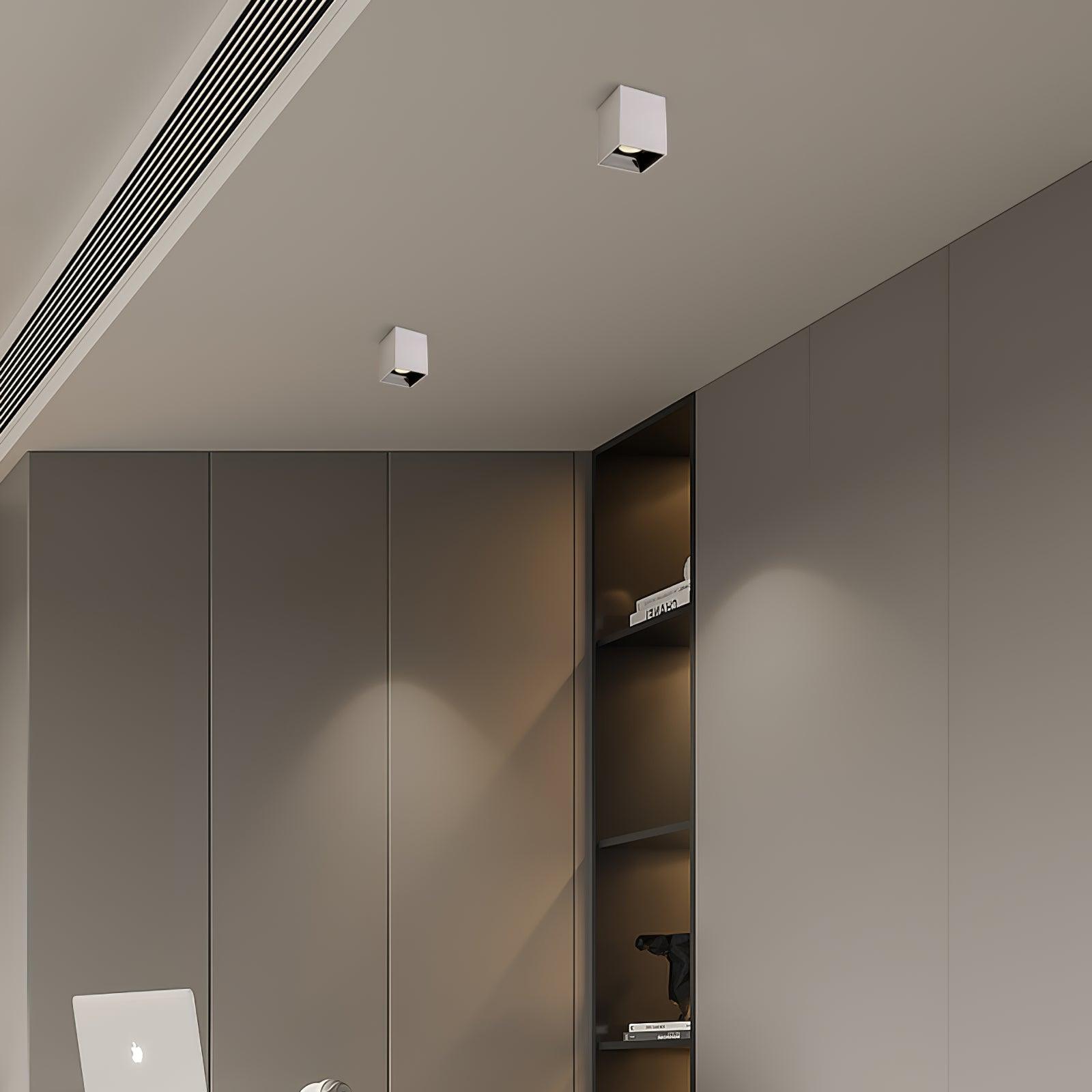 Orelaniella Ceiling Light Cube Square Black Spotlight