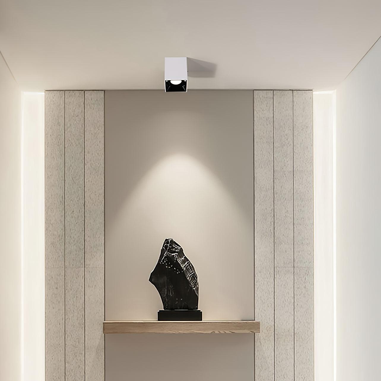 Orelaniella Ceiling Light Cube Square Black Spotlight