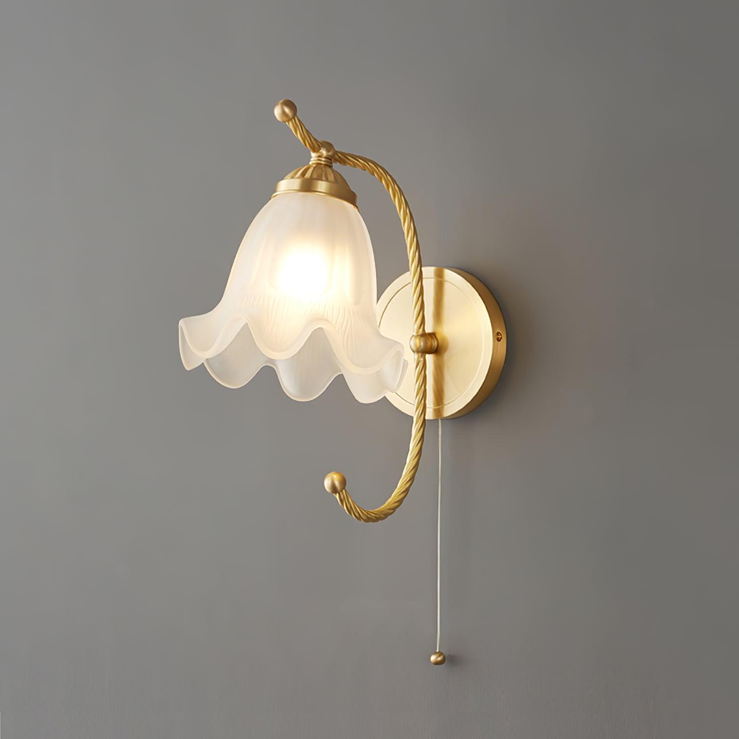 Celisenne Wall Sconce Brass Gooseneck Glass