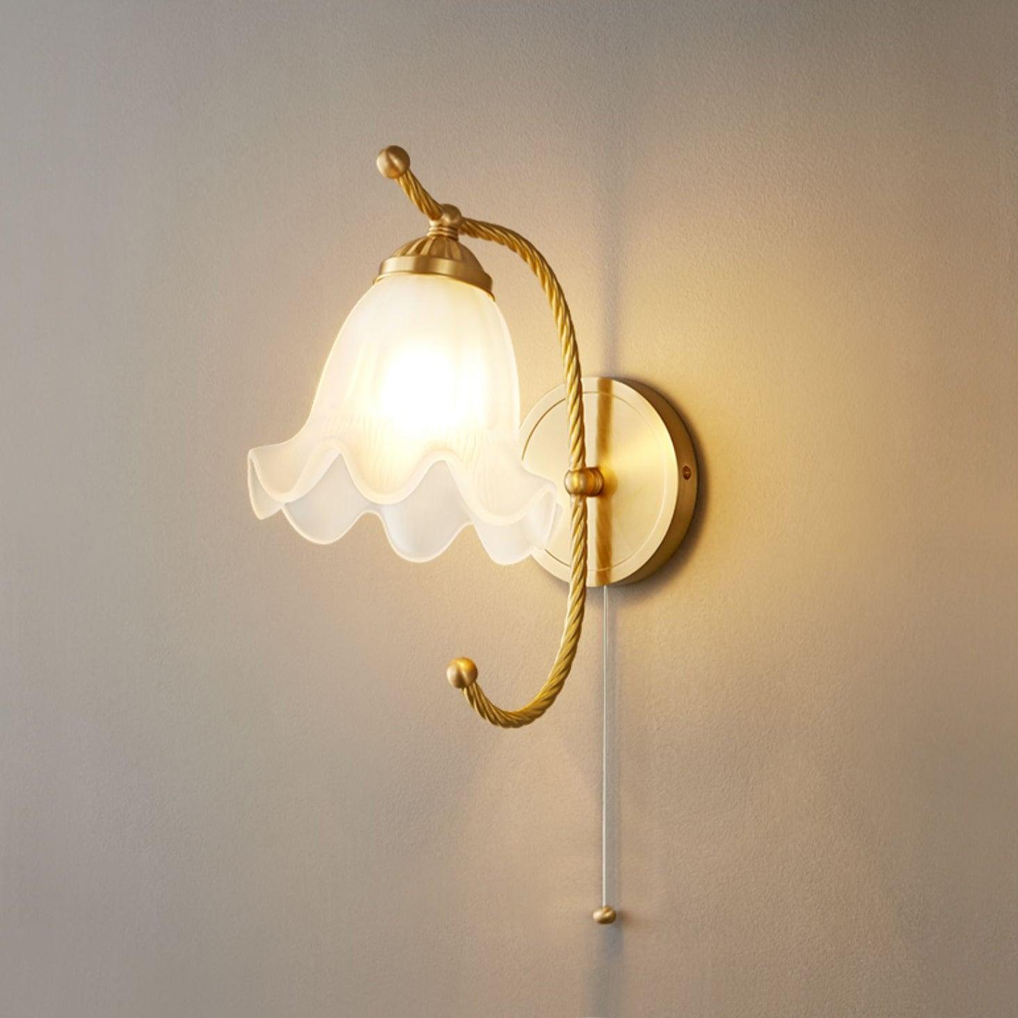 Celisenne Wall Sconce Brass Gooseneck Glass