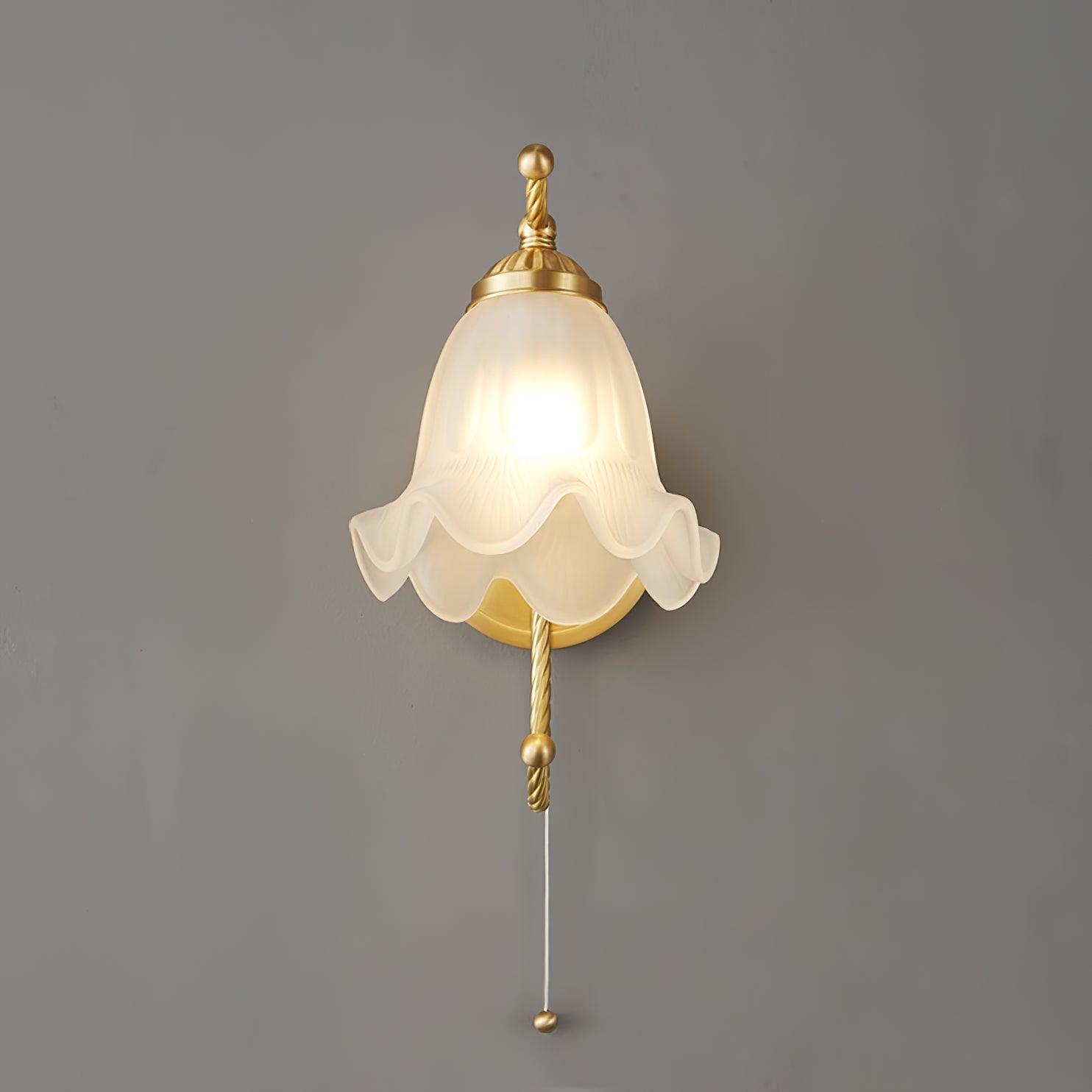 Celisenne Wall Sconce Brass Gooseneck Glass