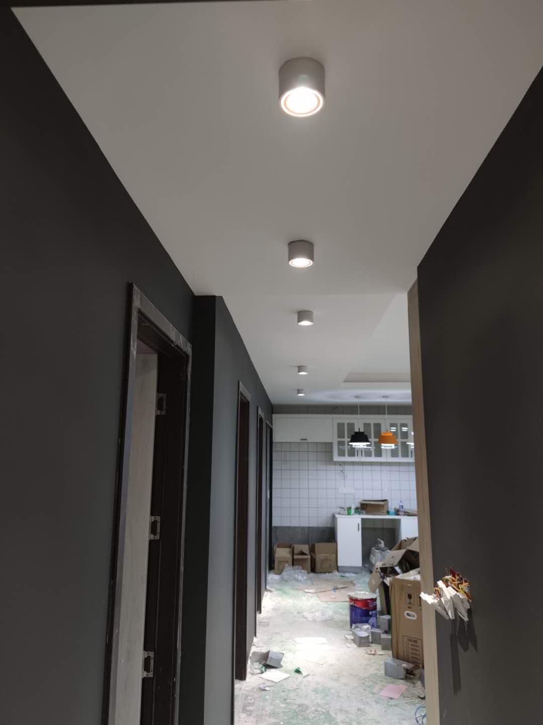 Mirirel Ceiling Lamp Modern Ember Recessed LED Downlight