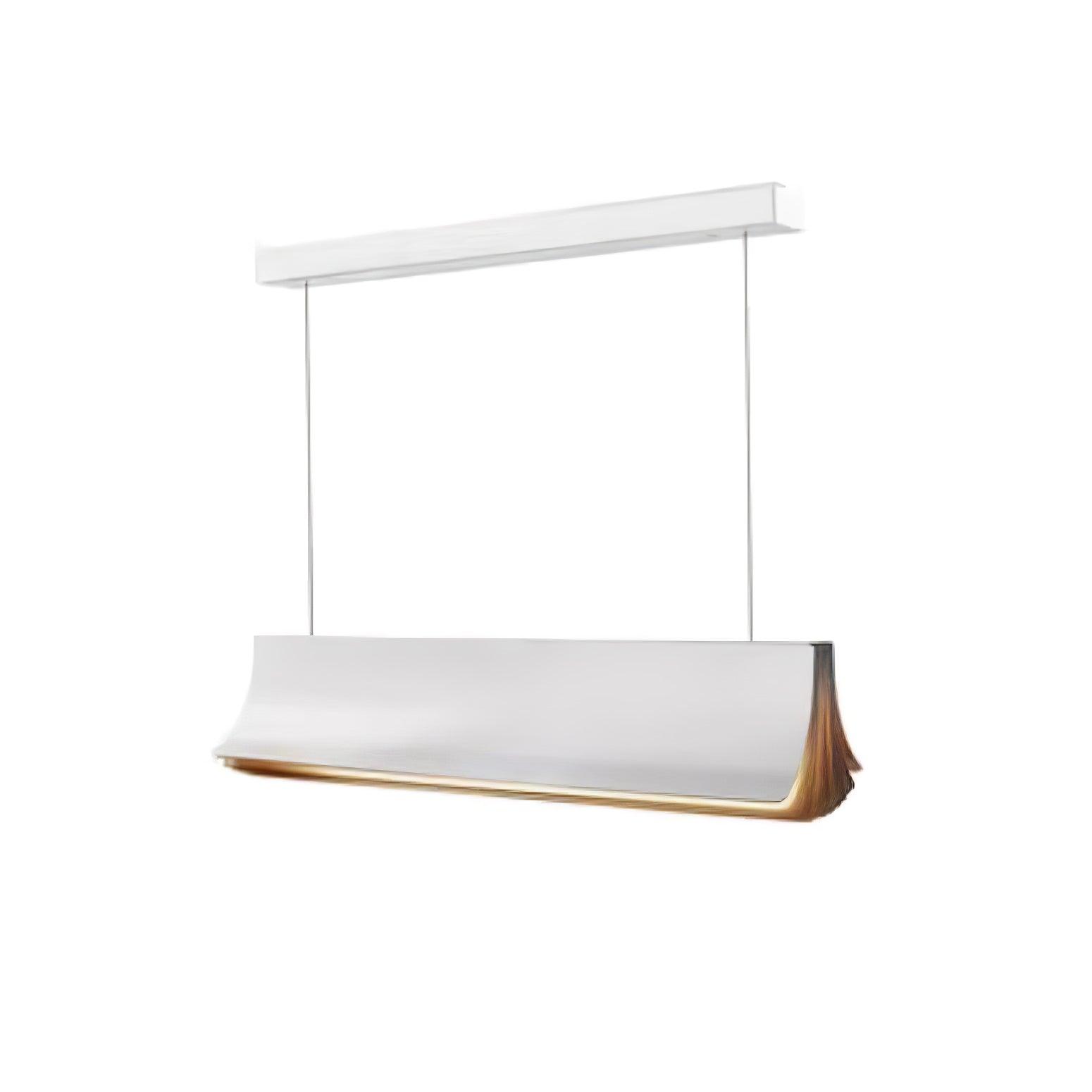 Bivane Modern Minimalist Pendant Lamp