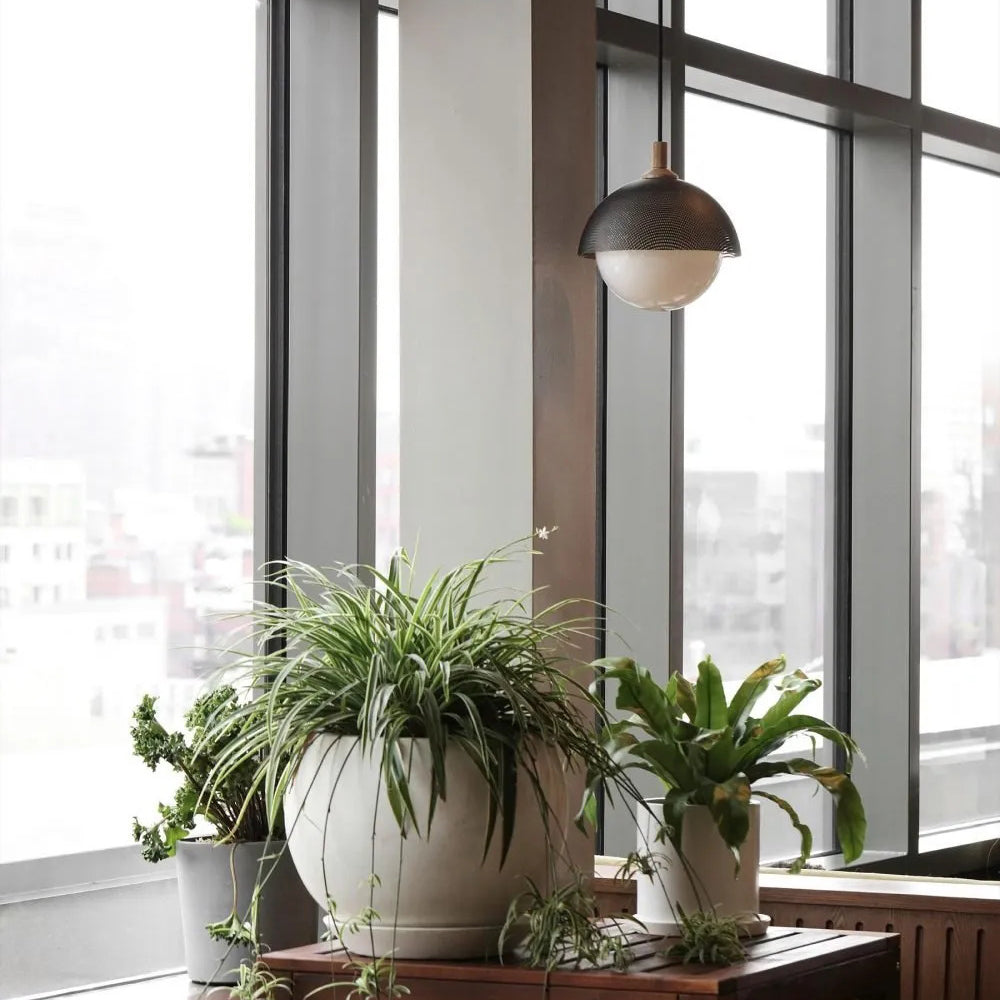 Pith Modern Minimalist Dome Perforated Wooden Pendant Lamp