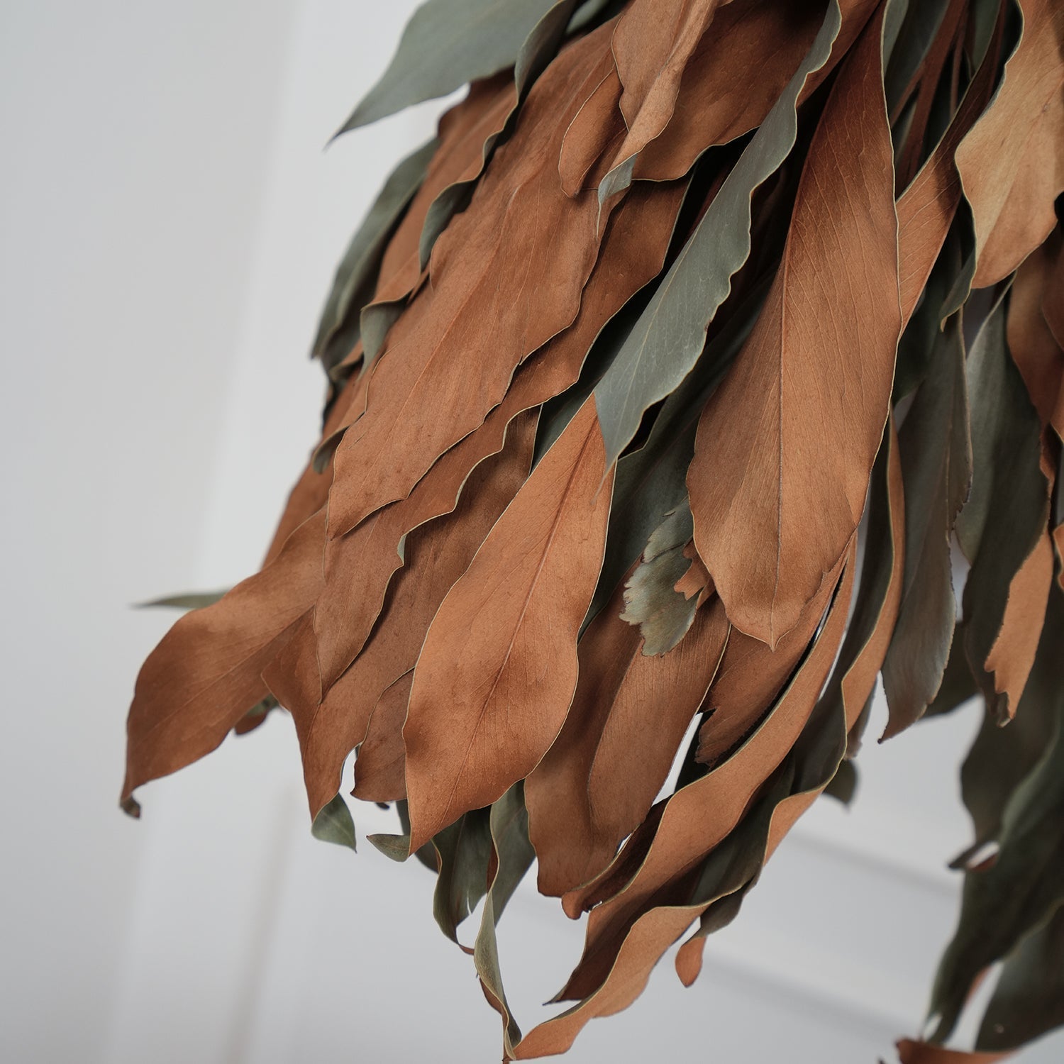 Lirien Nature Pendant Lamp